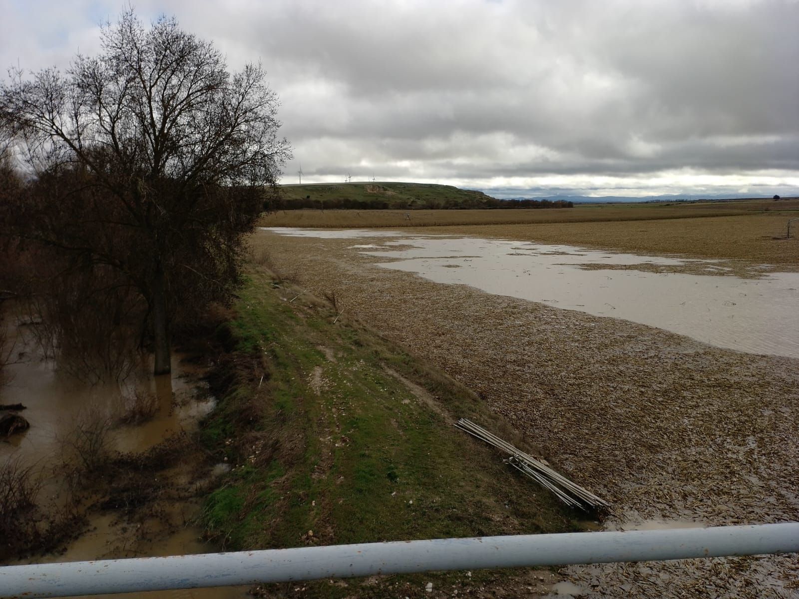 Garcihérnandez, el río Gamo se desborda (7).jpeg