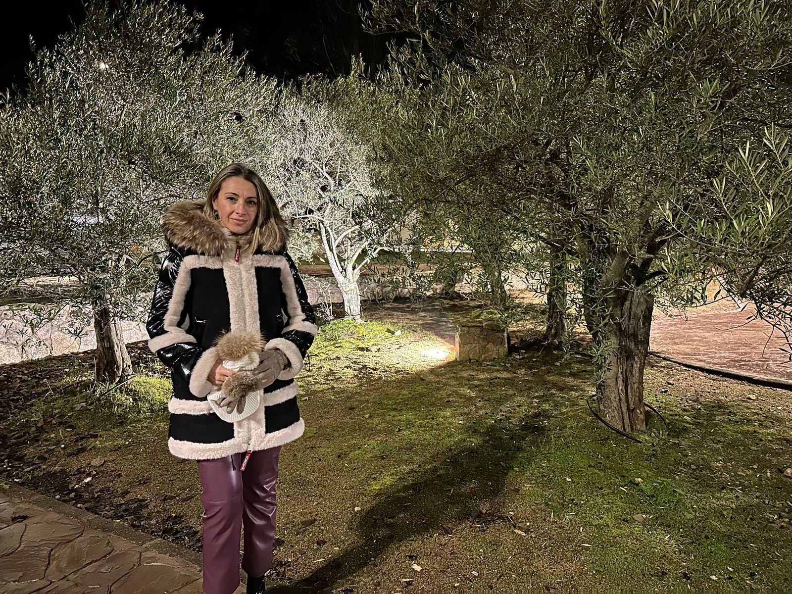 Iluminación de Los Olivos