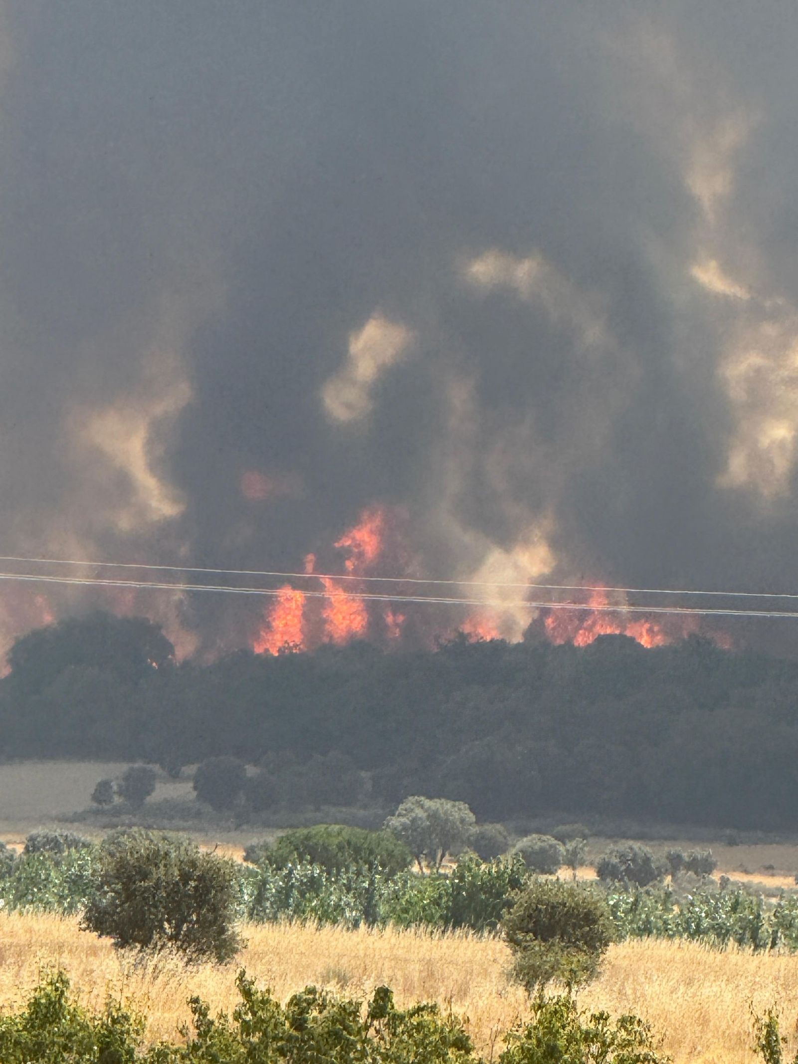 Las desoladoras imágenes del incendio que ha afectado a Molezuelas de la Carballeda, Uña de Quintana y Cubo de Benavente