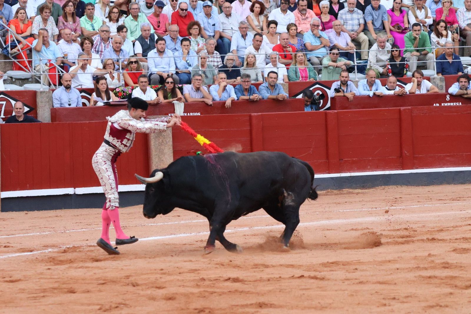 20230910191538-img-2253