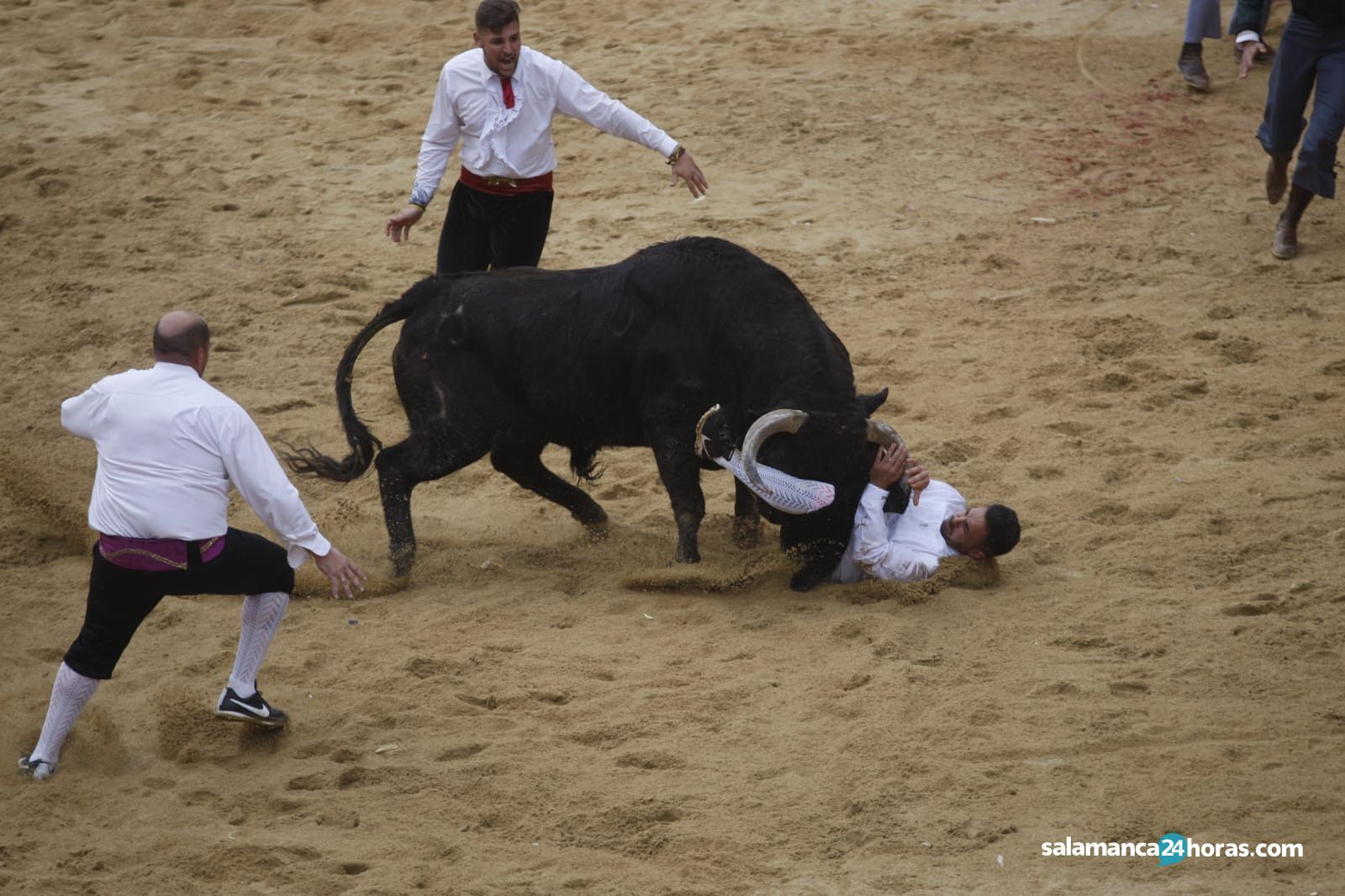 Use Ciudad Rodrigo (4)