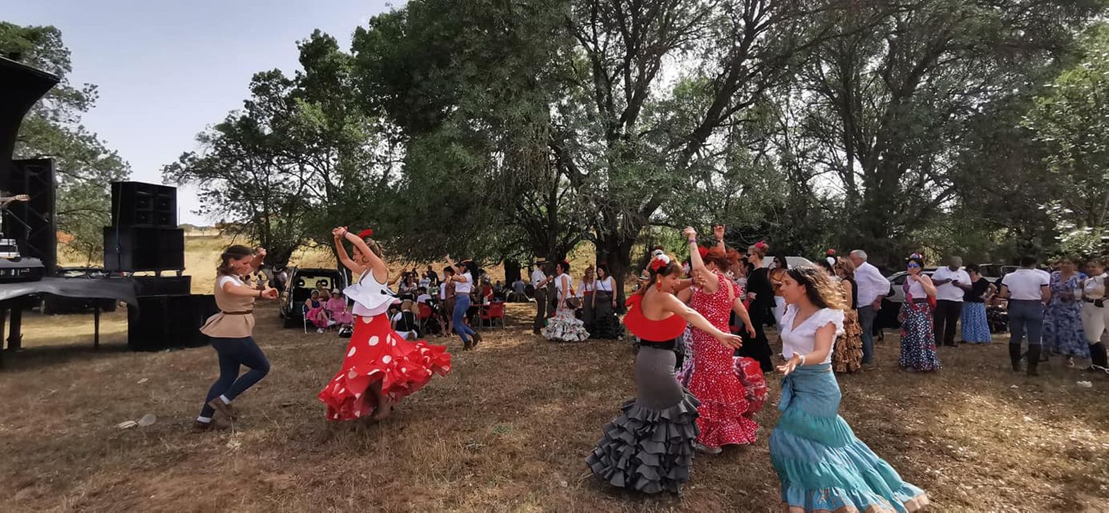 viii-camino-flamenco-entre-zamora-y-andavias-6