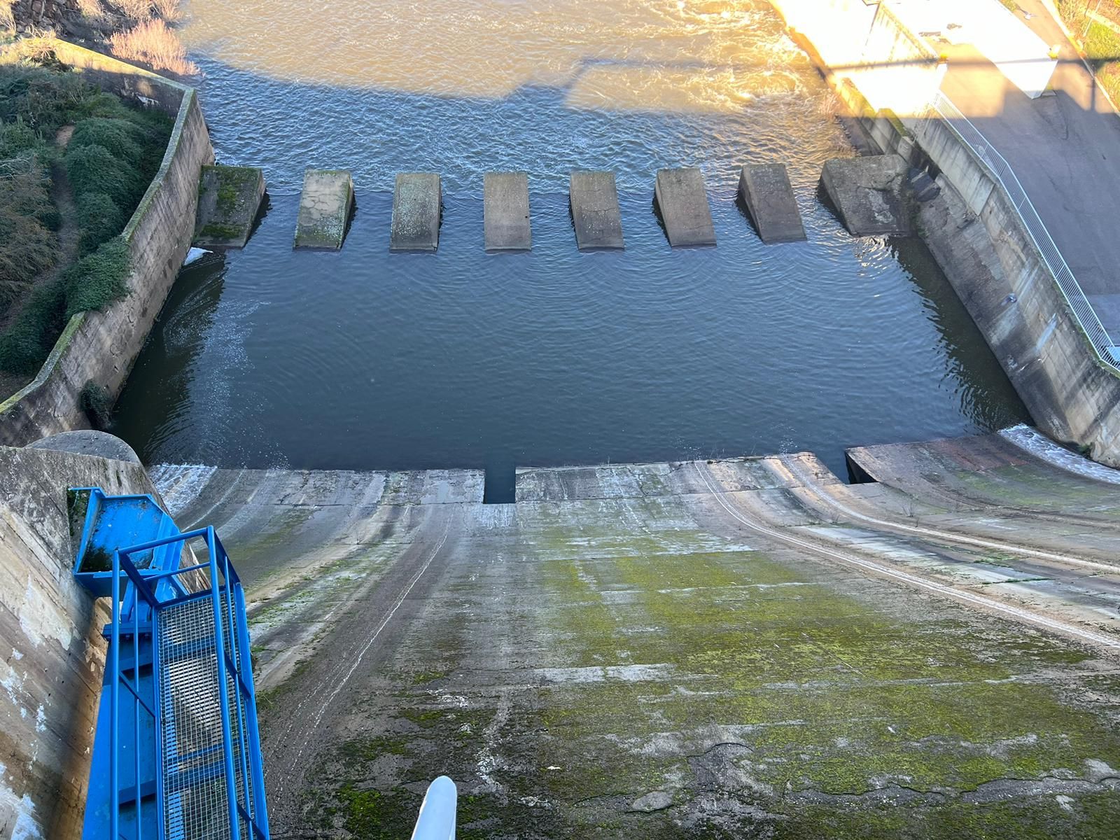 whatsapp-image-2024-01-20-at-13-54-56-1