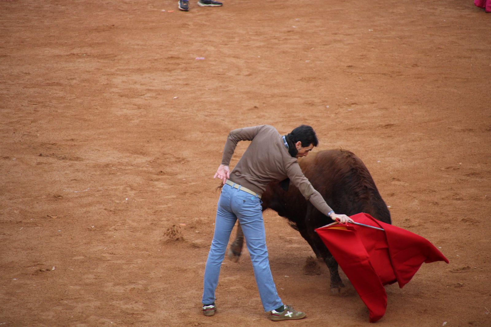 Toro del aguardiente en la mañana de martes del Carnaval del Toro 2026