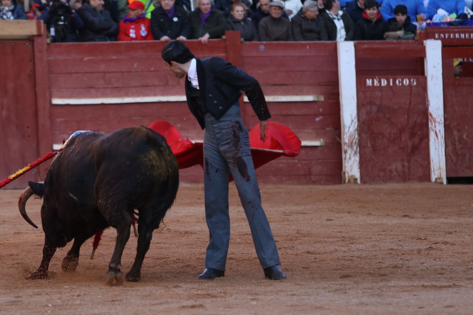 Festival taurino del Sábado en el Carnaval del Toro 2026 de Ciudad Rodrigo