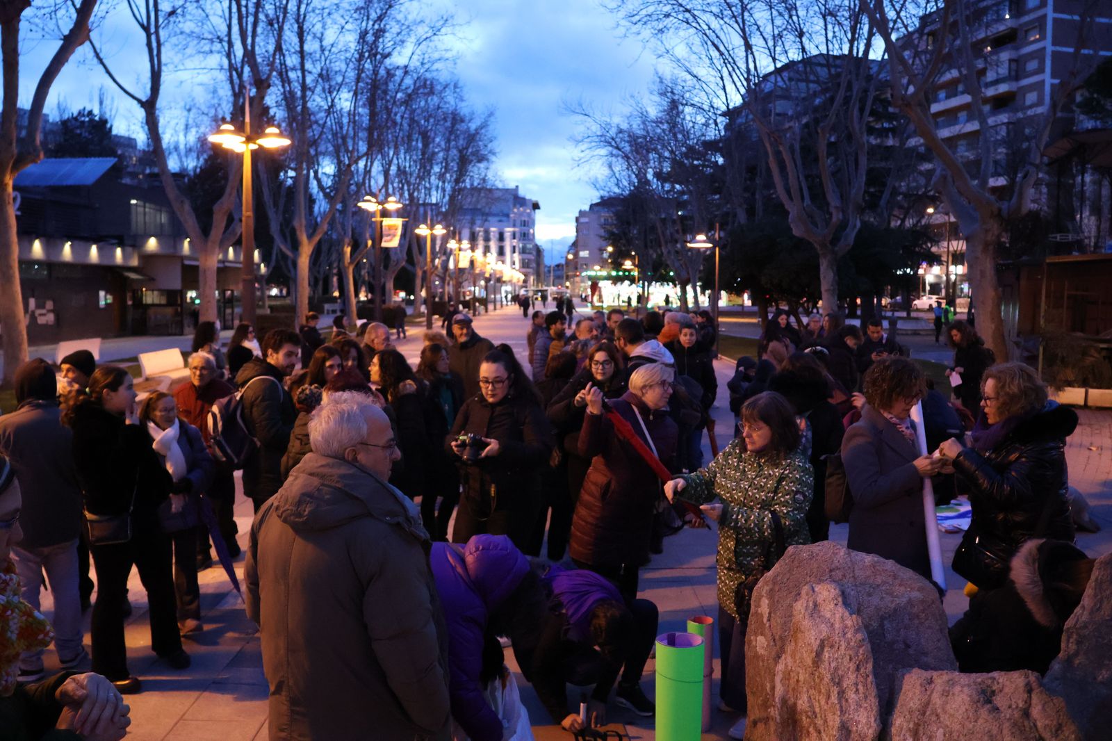 marcha-del-8m-en-zamora-7