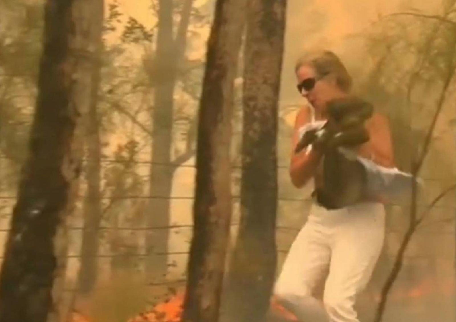 Captura de pantalla 2019 11 26 a las 13.32.47