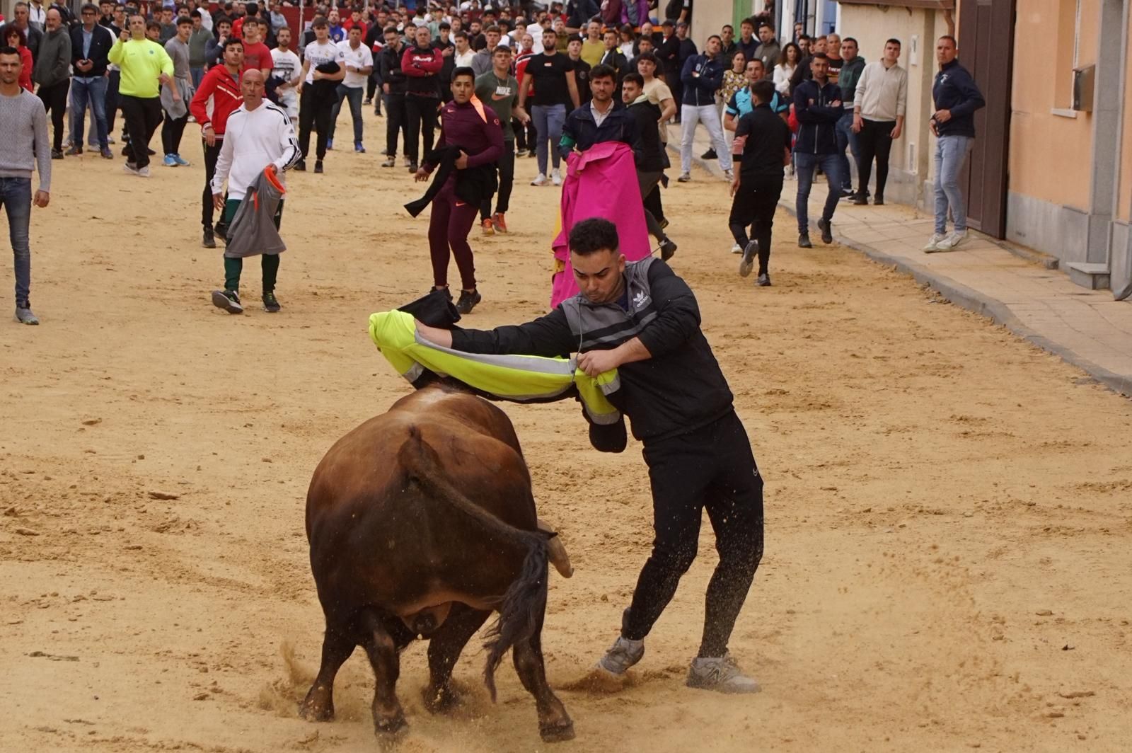 Villoria, toro del Voto