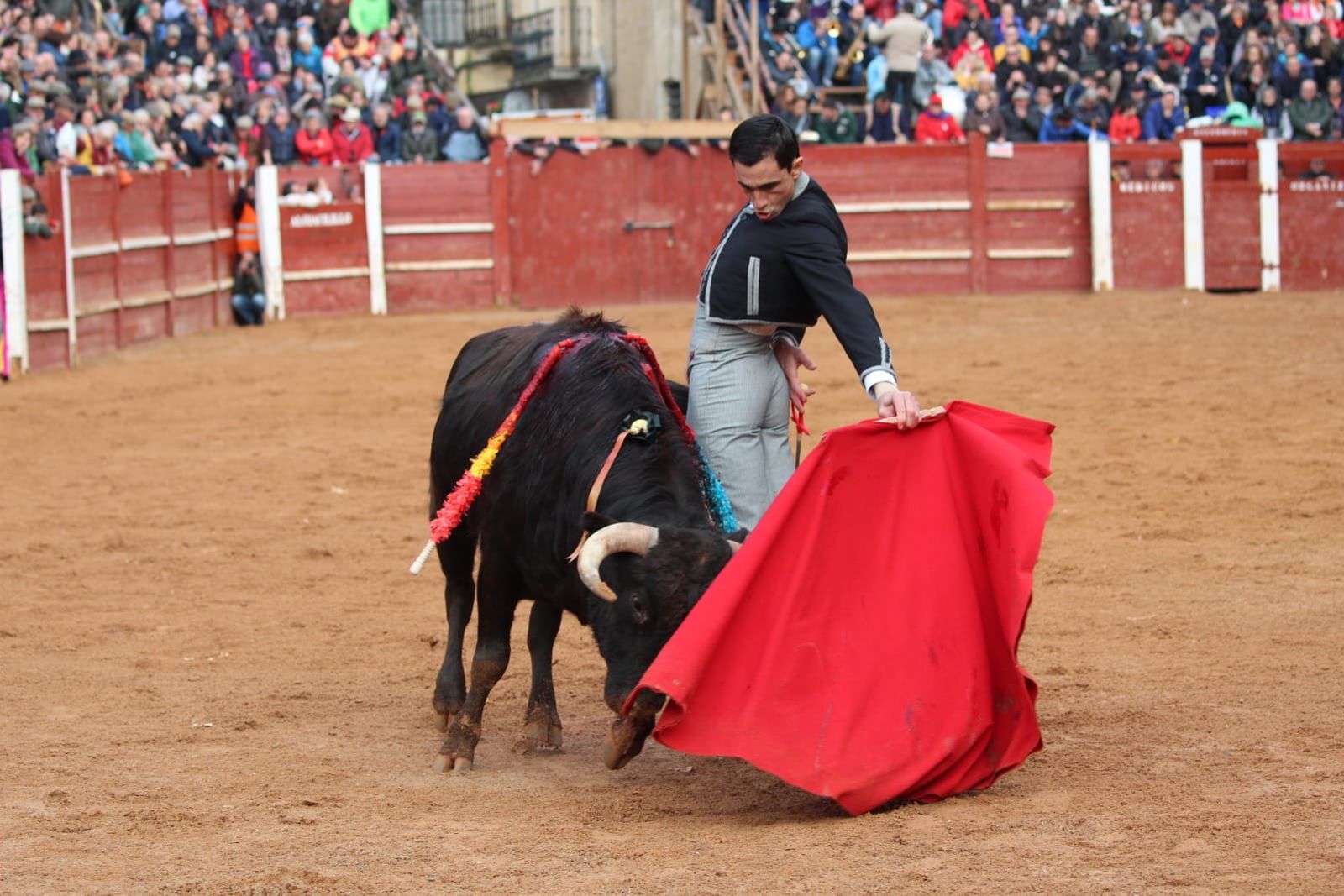 whatsapp-image-2023-02-21-at-17-52-08