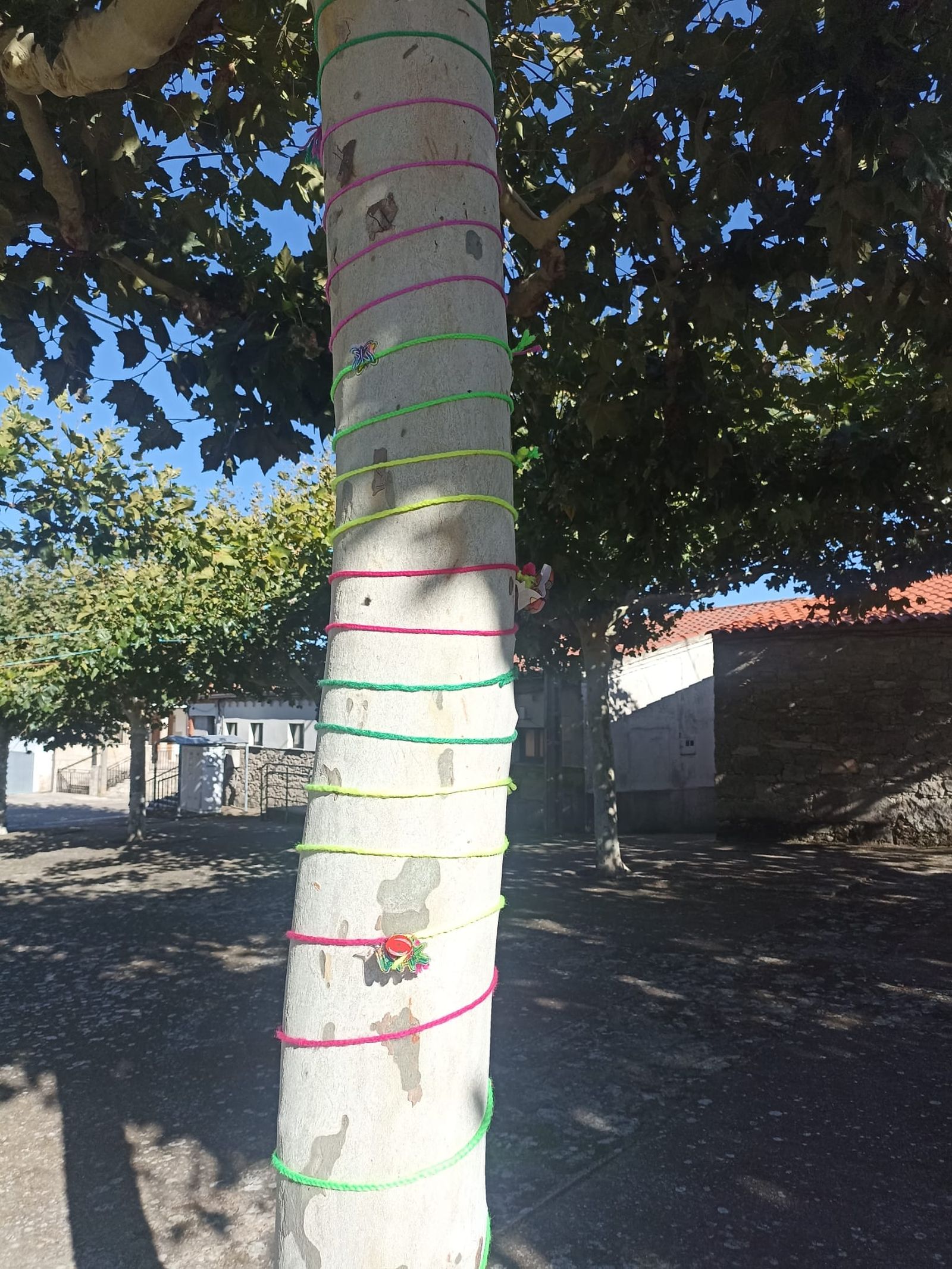 los-vecinos-de-roelos-visten-los-arboles-5