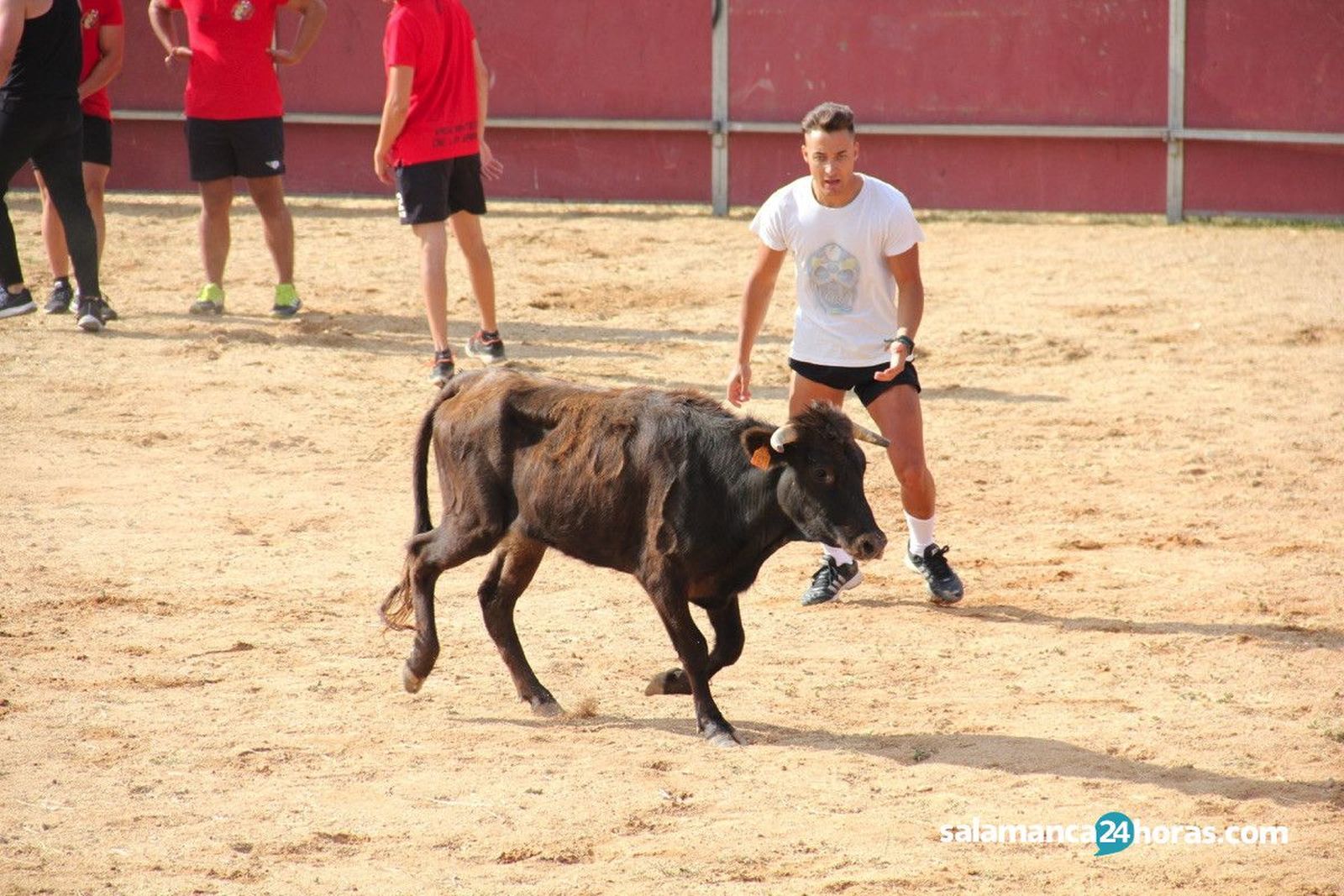 Grand prix carbajosa tono 48