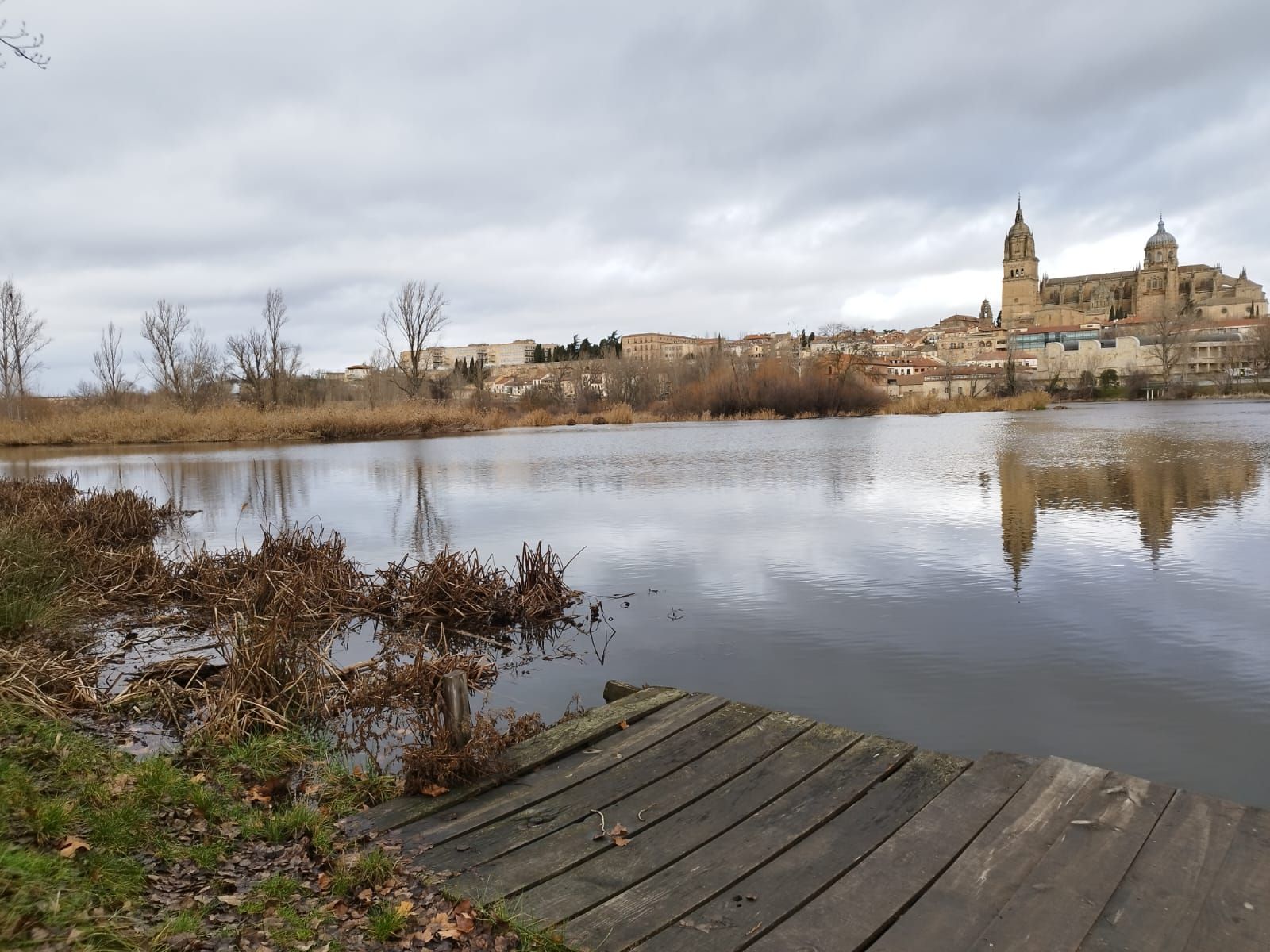 rio-tormes-a-su-paso-por-salamanca-tras-la-borrasca-irene-fotos-andrea-m-6