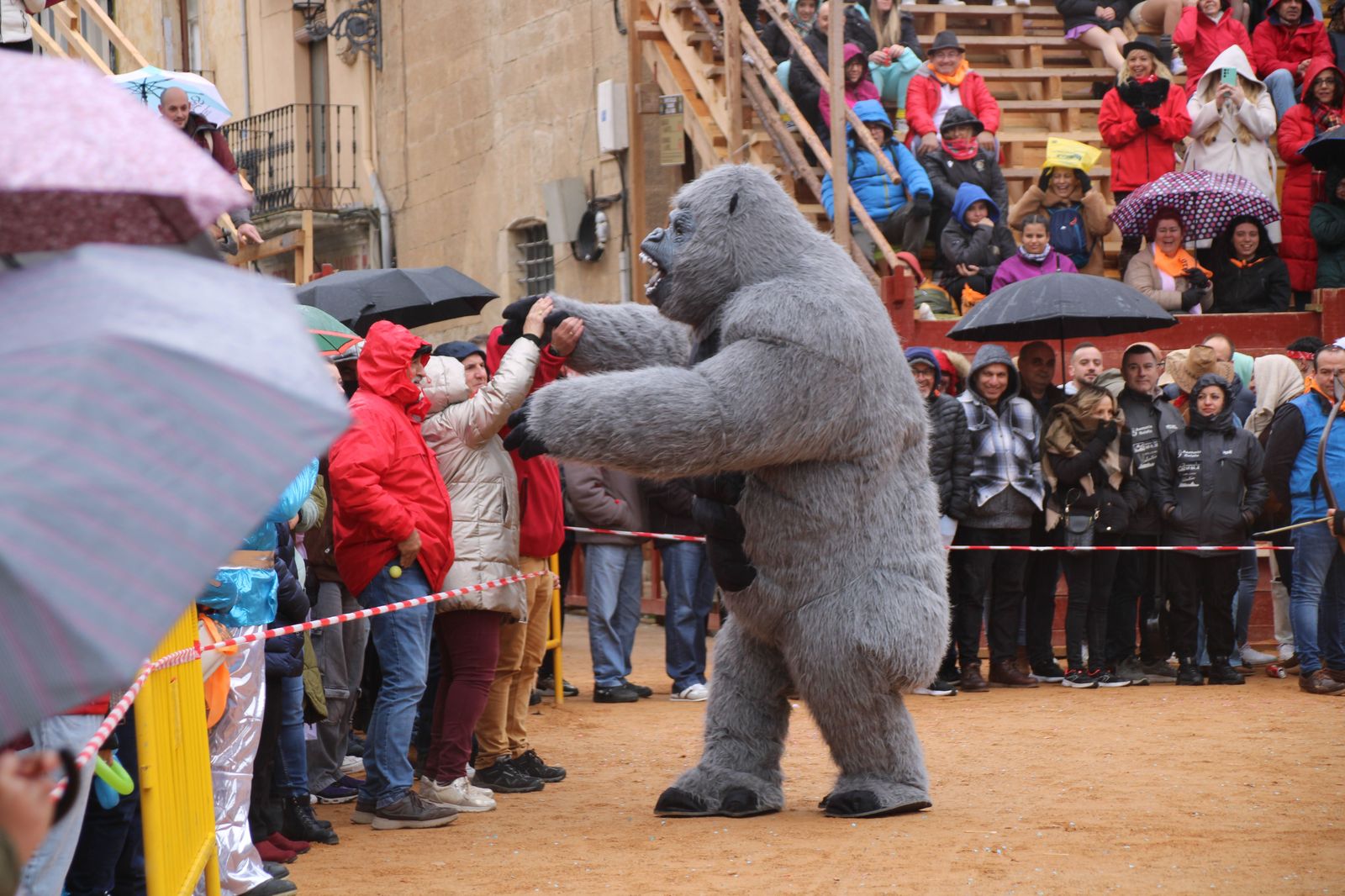 desfile-disfraz-callejero-sabado-carnaval-ciudad-rodrigo-2025-40
