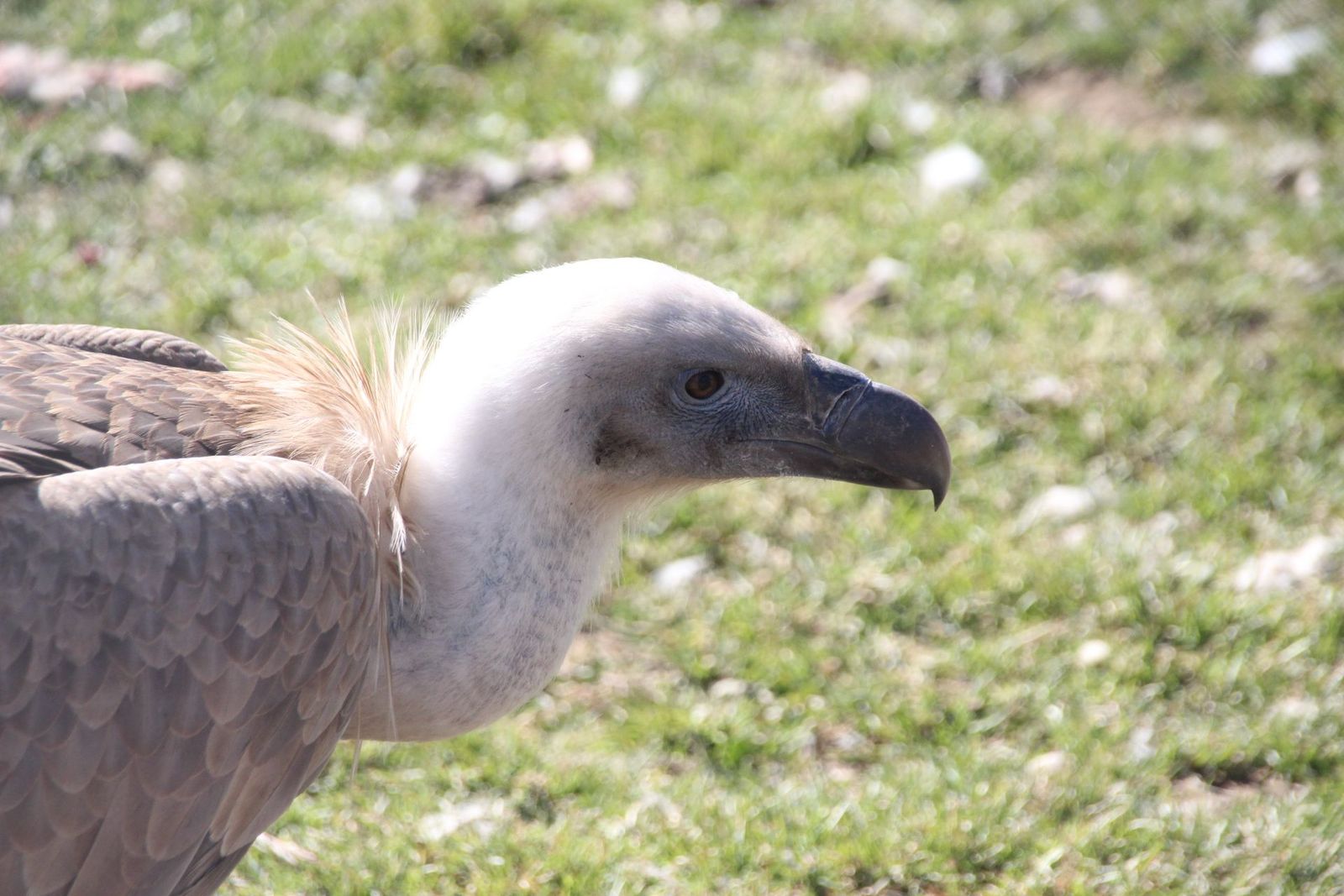 20230304151912-img-1667