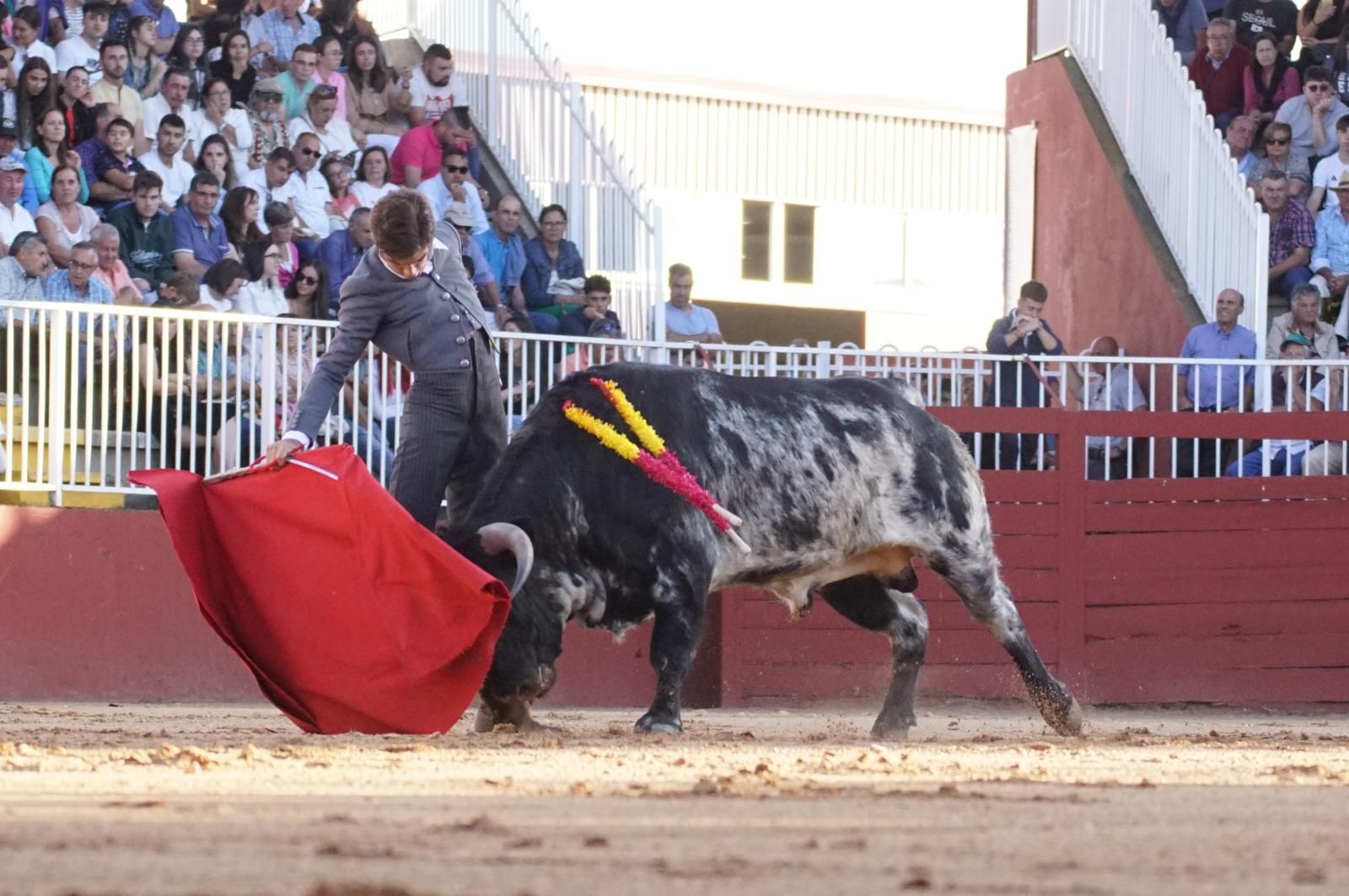 whatsapp-image-2024-09-07-at-20-48-36-8