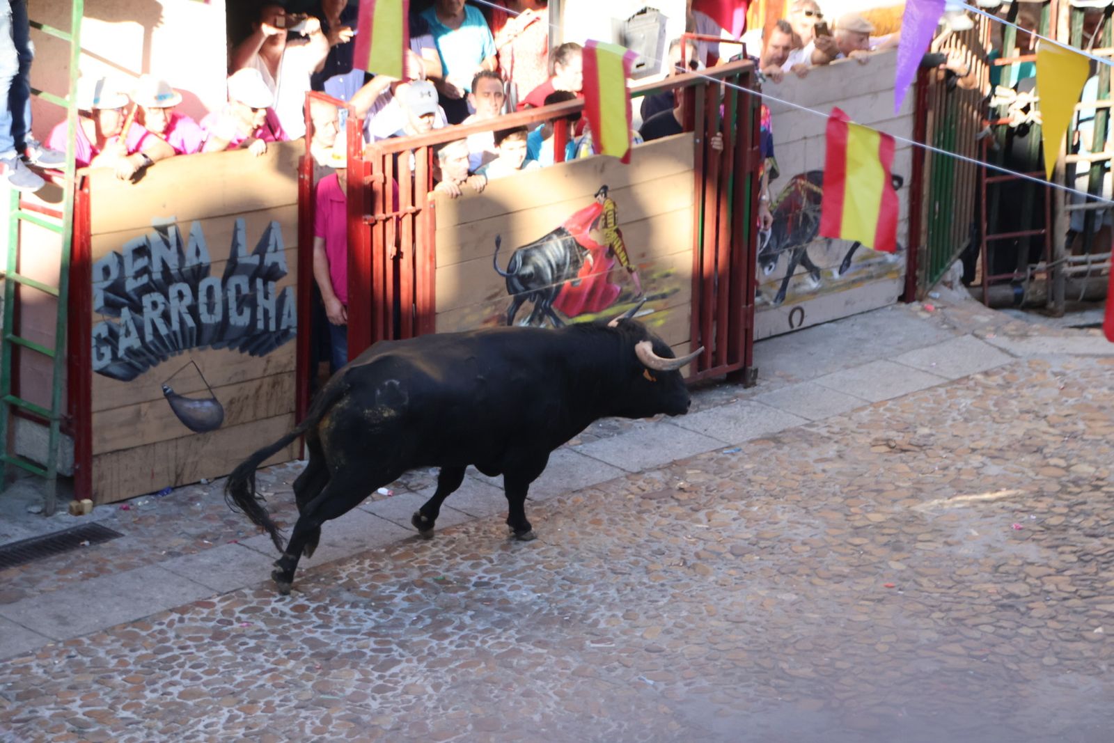 San Esteban de la Sierra, festival taurino sin picadores