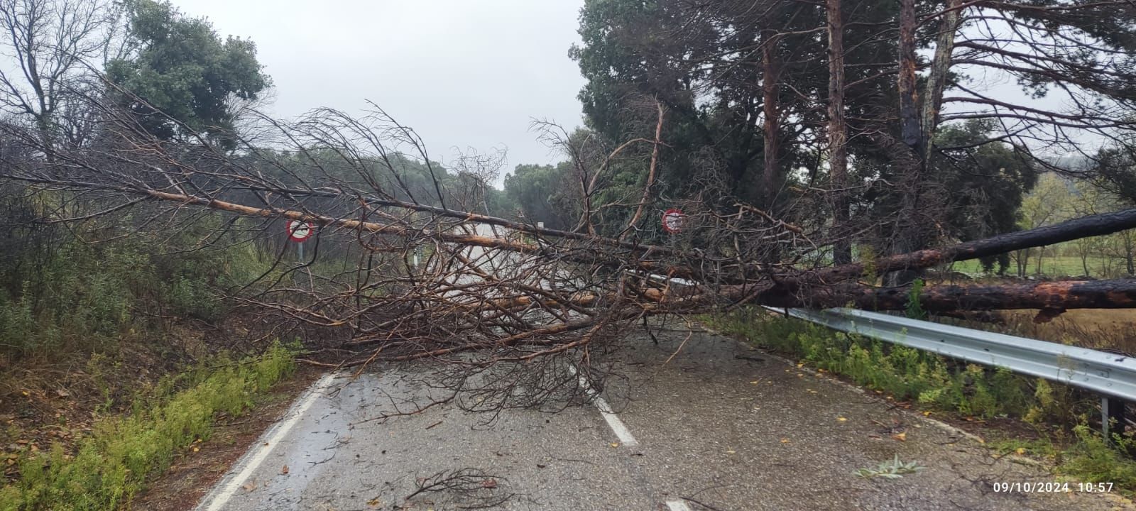 imagen-de-whatsapp-2024-10-09-a-las-11-48-57-9708f780