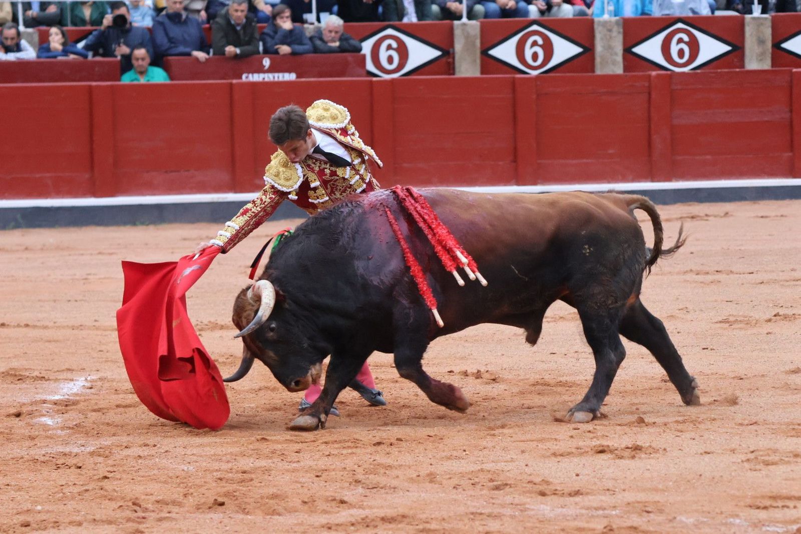 20230921183513-img-8183