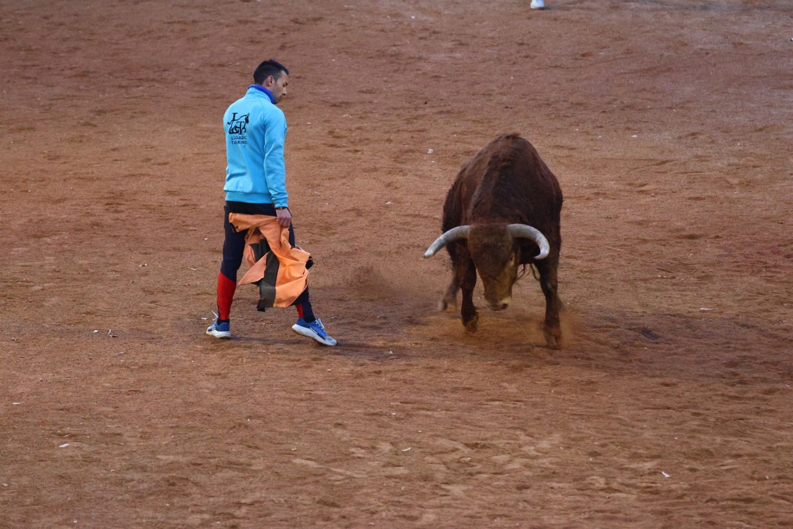 Capea de martes por la tarde en el Carnaval del Toro 2026