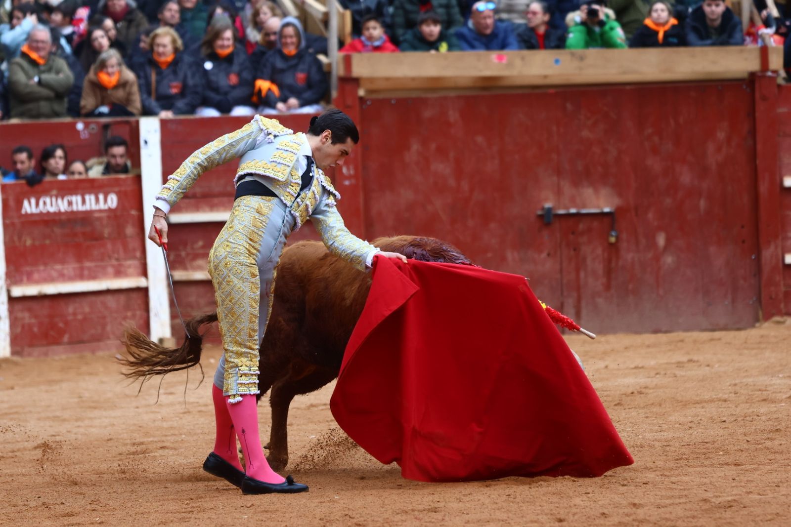 Novillada con picadores de lunes en el Carnaval del Toro de Ciudad Rodrigo 2026