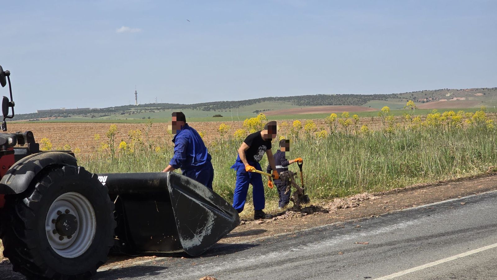 Un vehículo pierde parte de su carga, restos de vísceras, en la carretera de Vecinos