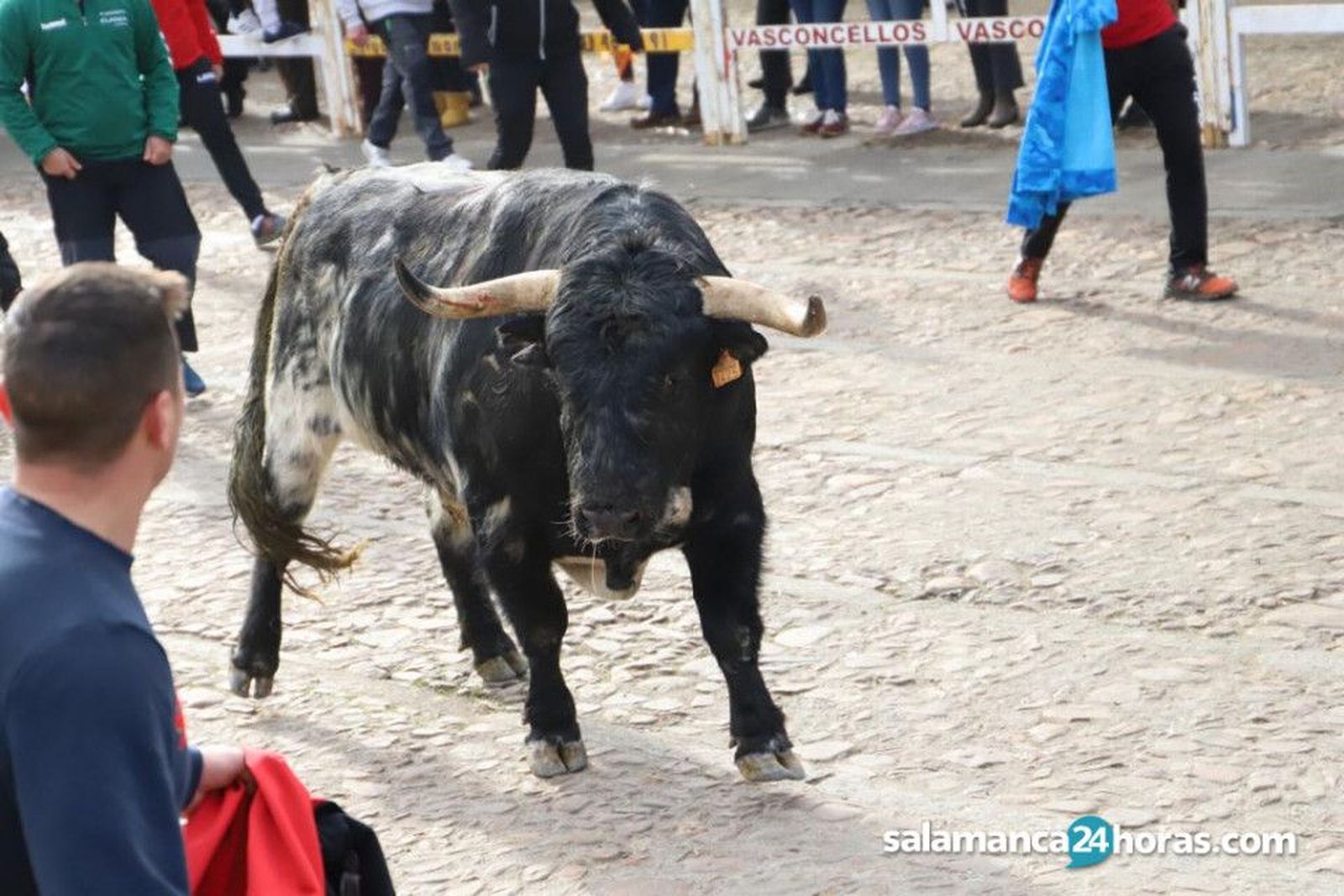 Encierro los Bayones