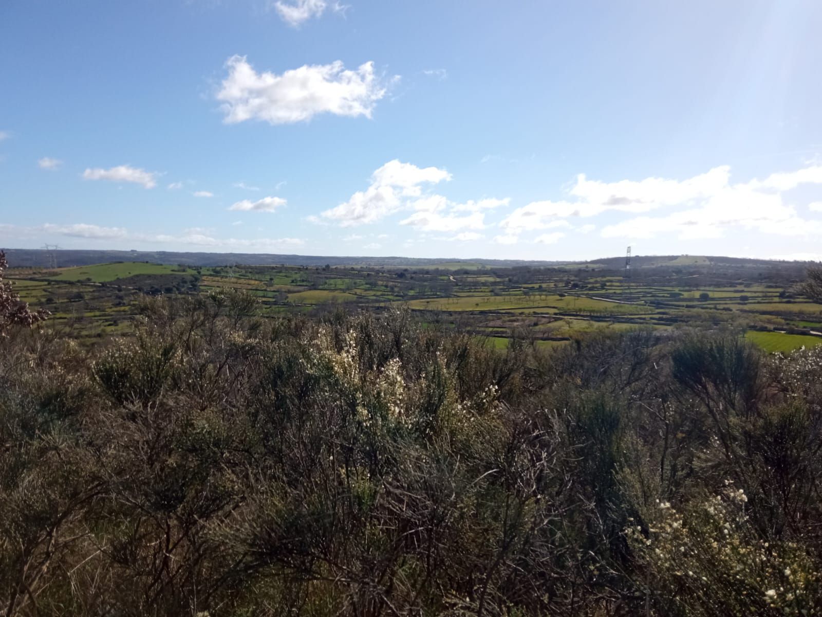 ruta-senderista-en-mieza-2023-21