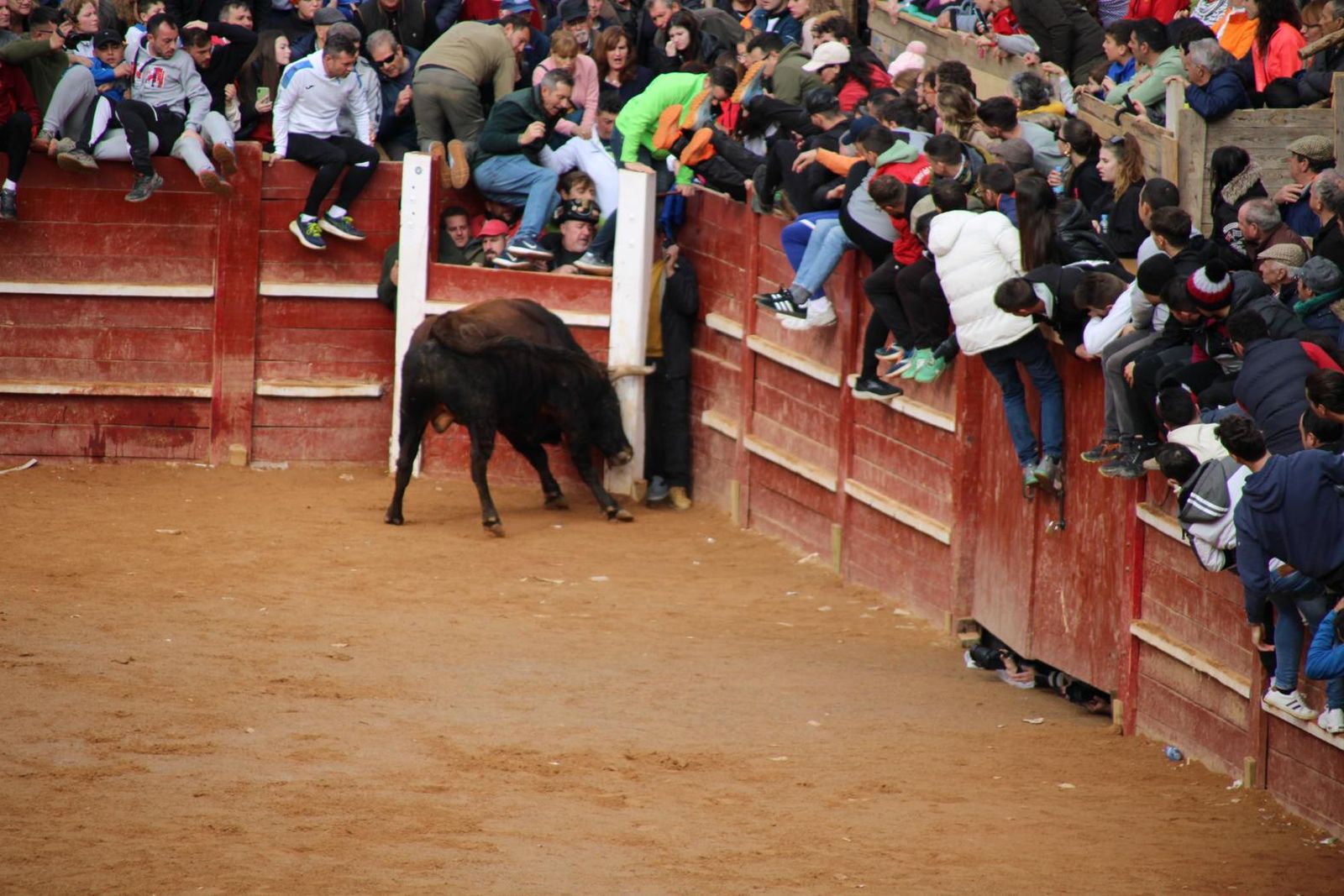 capea-matutina-del-martes-de-carnaval-12