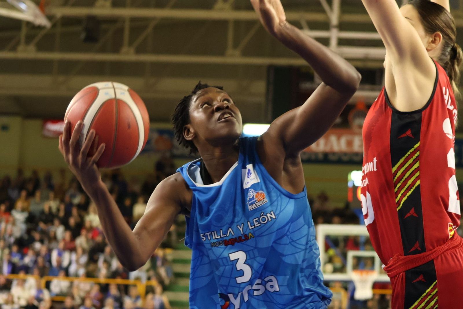 20231216202451-img-8431