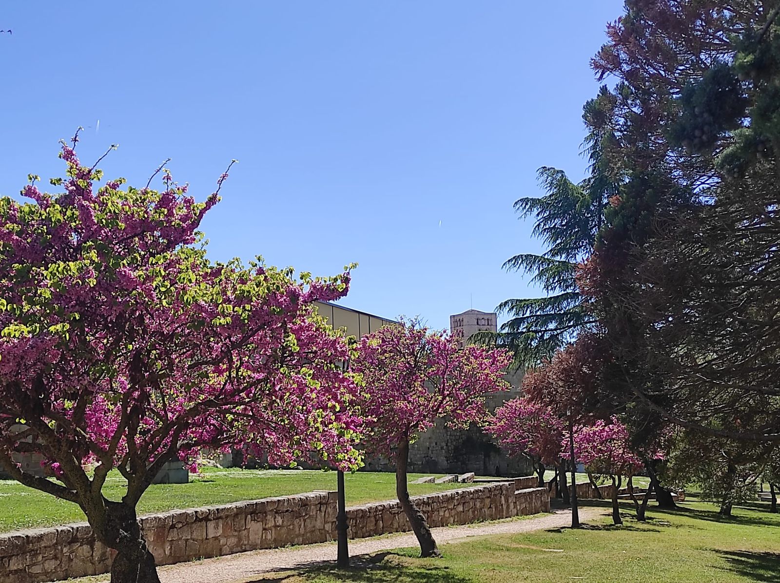 Tiempo primaveral en Zamora.