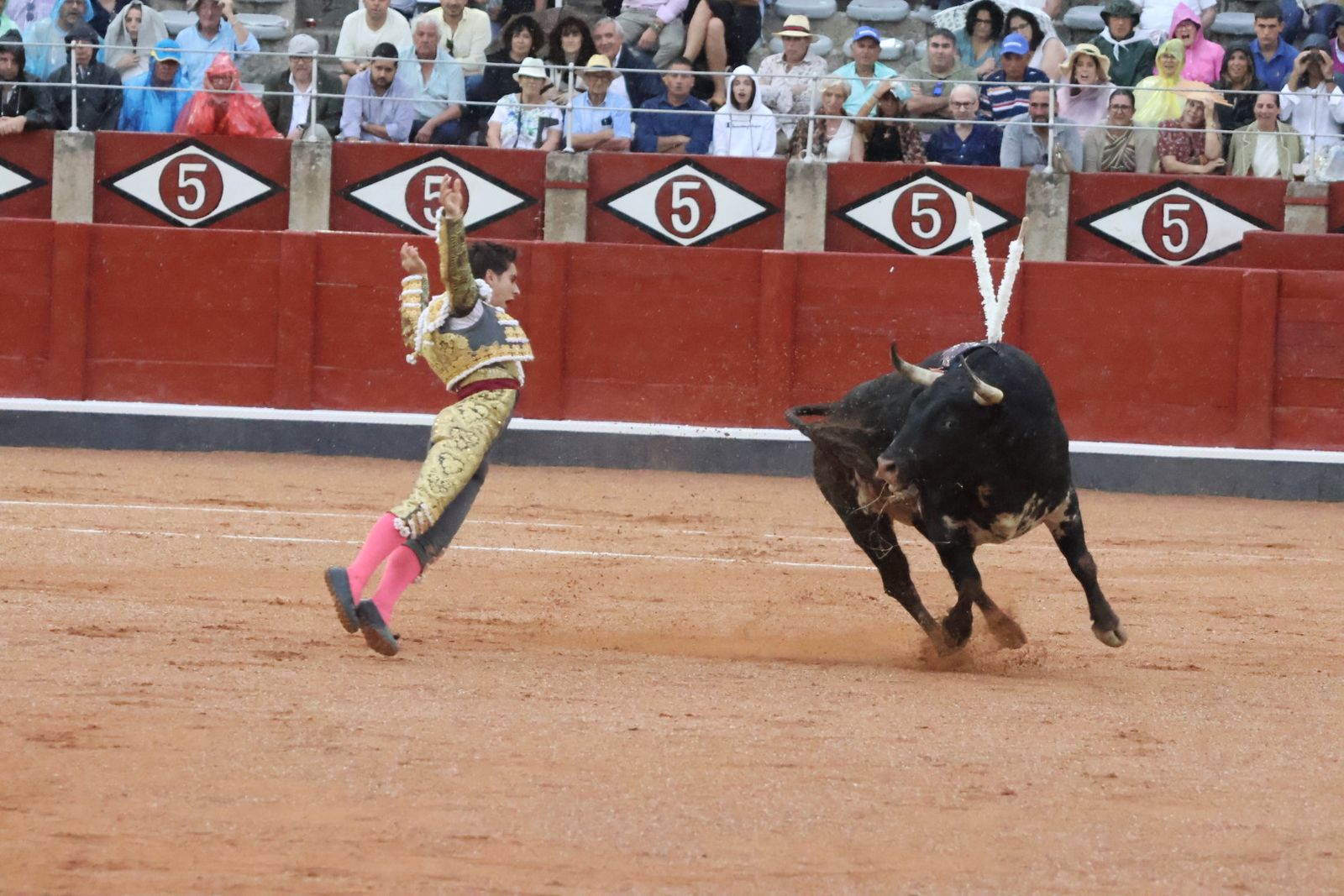 Ismael Martín, Marco Pérez y el aclamado regreso de Morante de la Puebla: su paso por La Glorieta en imágenes