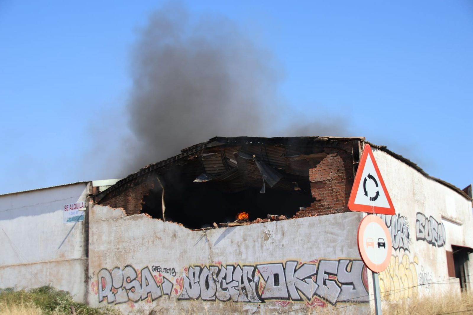 whatsapp-image-2024-08-22-at-18-17-49