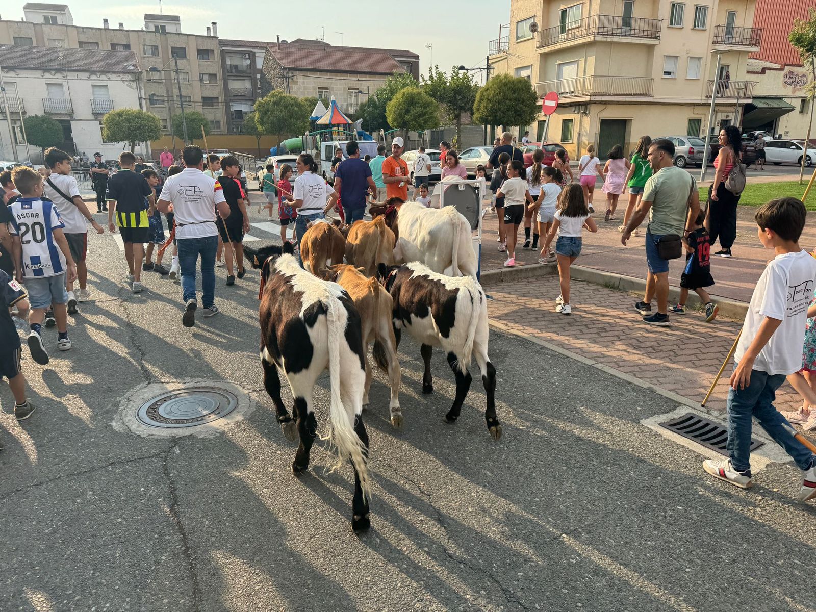 Encierro infantil de Mini Bueyes en Guijuelo durante sus fiestas 2025