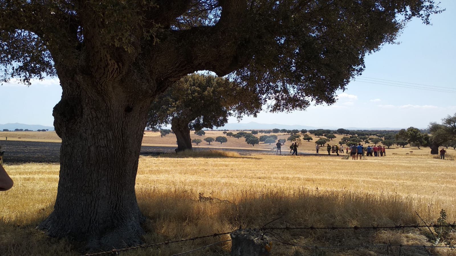 WhatsApp Image 2019 08 03 at 21.19.20