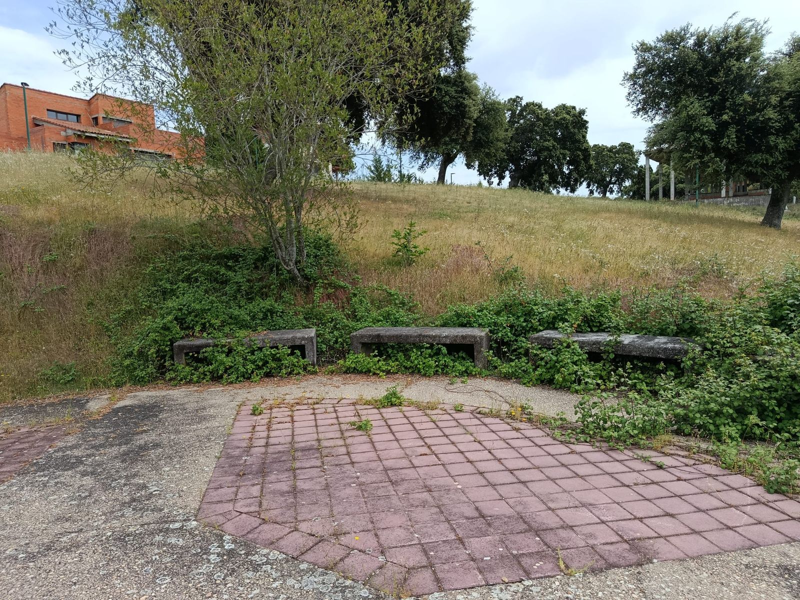 Urbanización Oasis Golf en Carrascal de Barregas  (4).jpeg