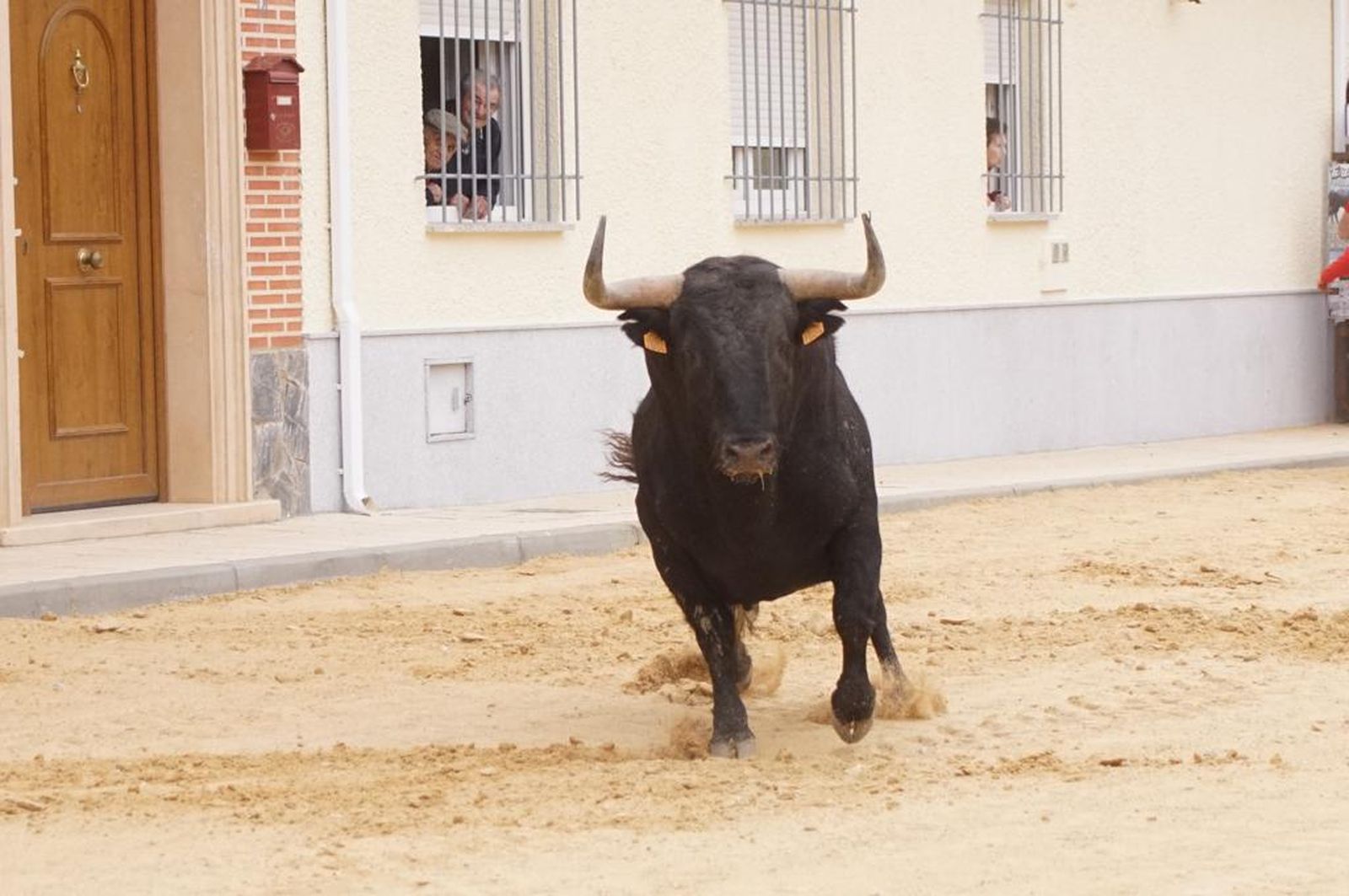 ambiente-y-participacion-durante-el-toro-del-voto-en-villoria-suelta-de-dos-toros-del-cajon-foto-juanes-52