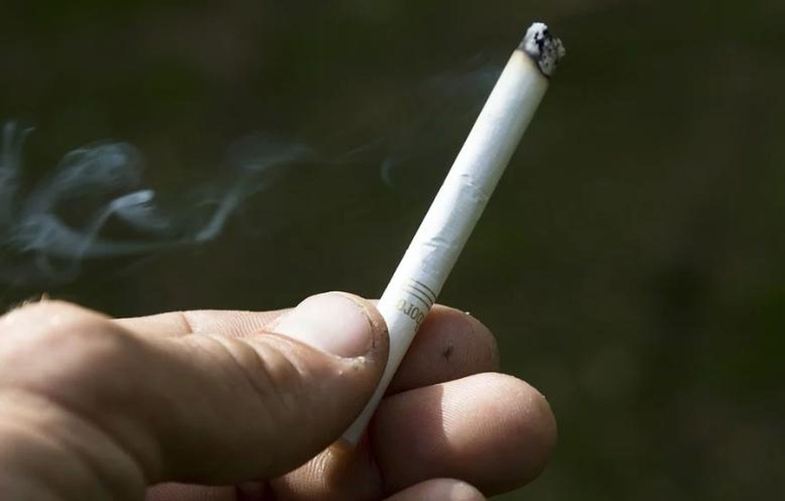 Captura de pantalla 2019 11 28 a las 13.04.28