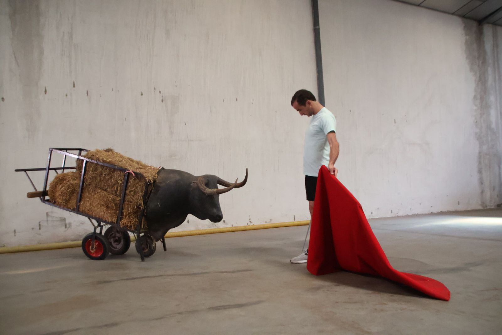 Entrevista con Damián Castaño por la feria de Salamanca