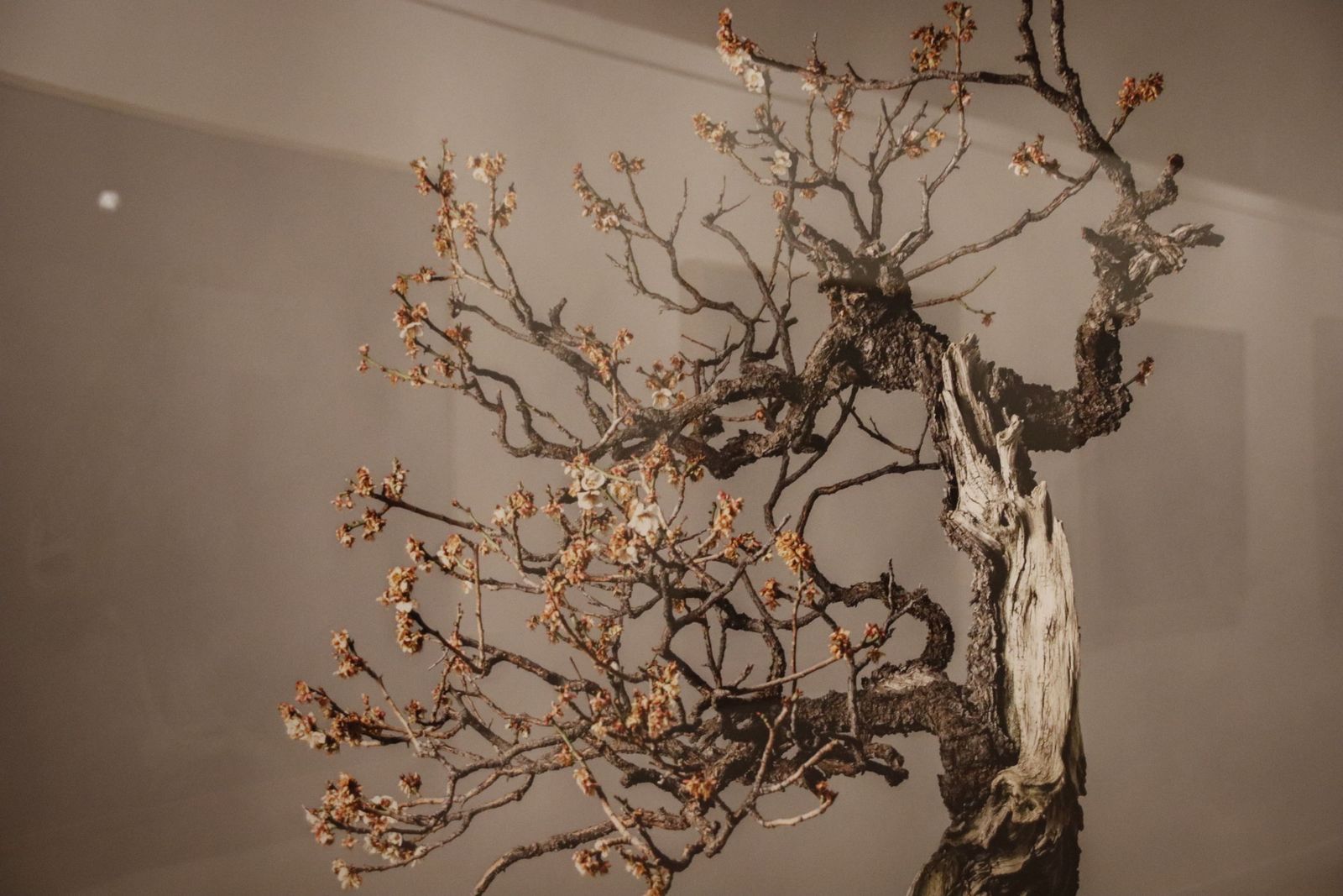 20220120105916-mg-4488