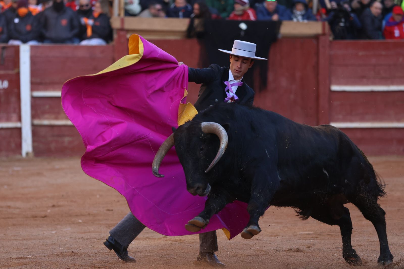 Festival taurino del Sábado en el Carnaval del Toro 2026 de Ciudad Rodrigo