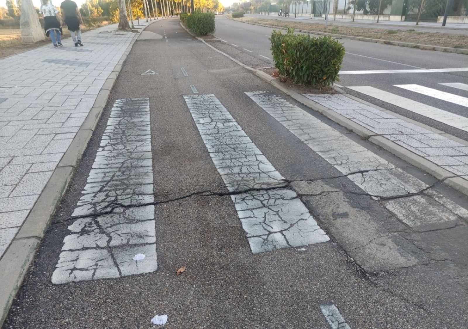 Carril bici Paso de Peatones (noviembre 2024)