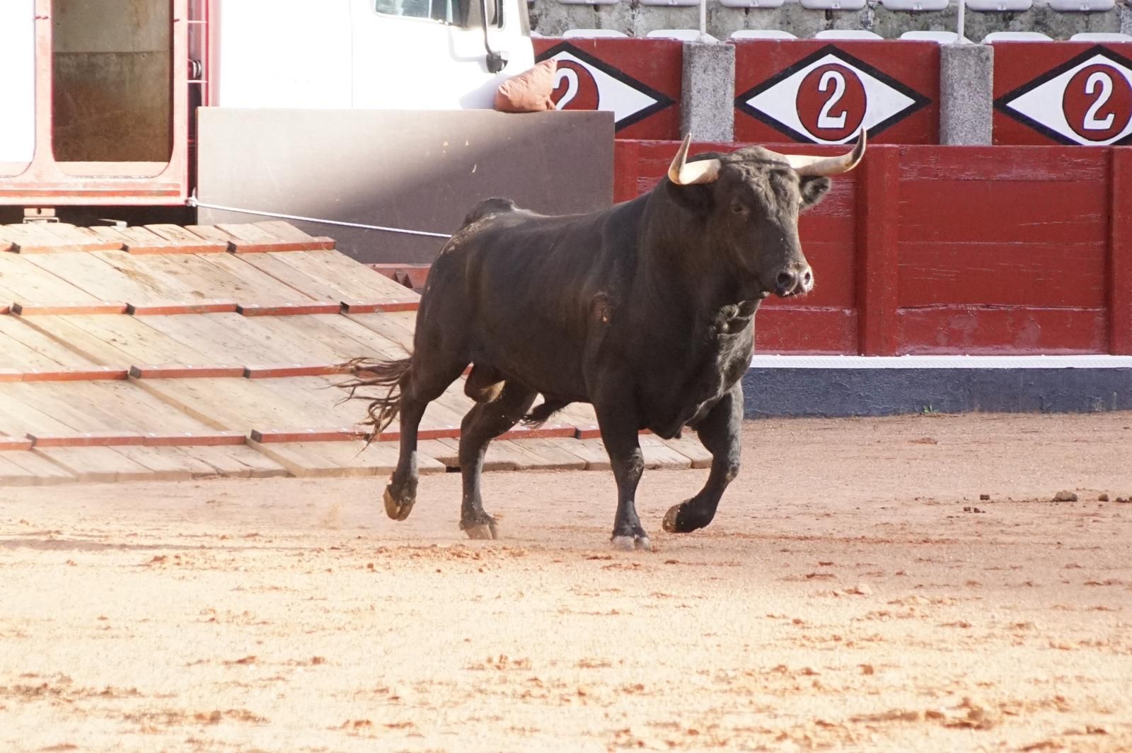 whatsapp-image-2023-09-08-at-19-29-34