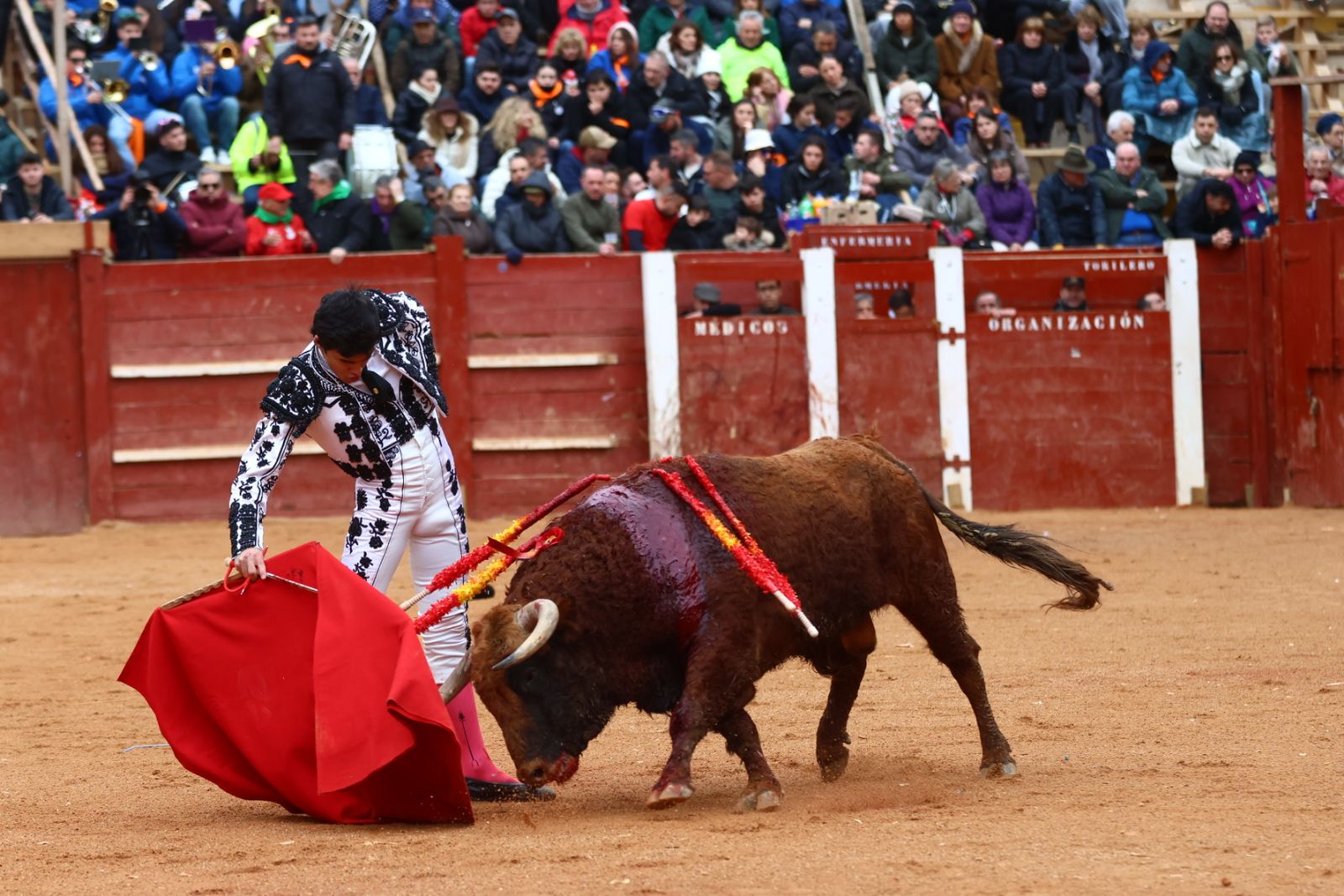 Novillada con picadores de lunes en el Carnaval del Toro de Ciudad Rodrigo 2026