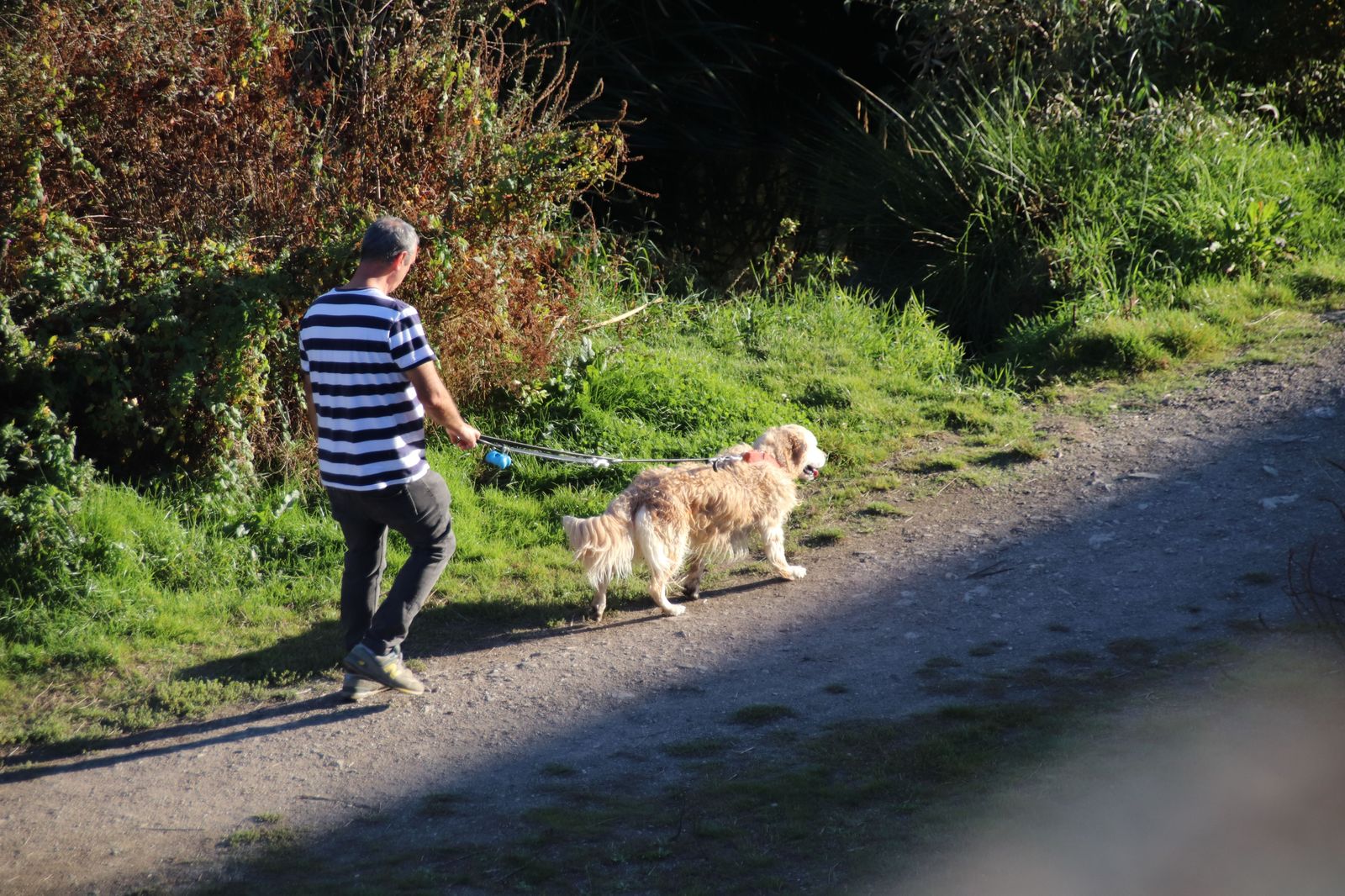 Hombre paseando a su perro. Archivo