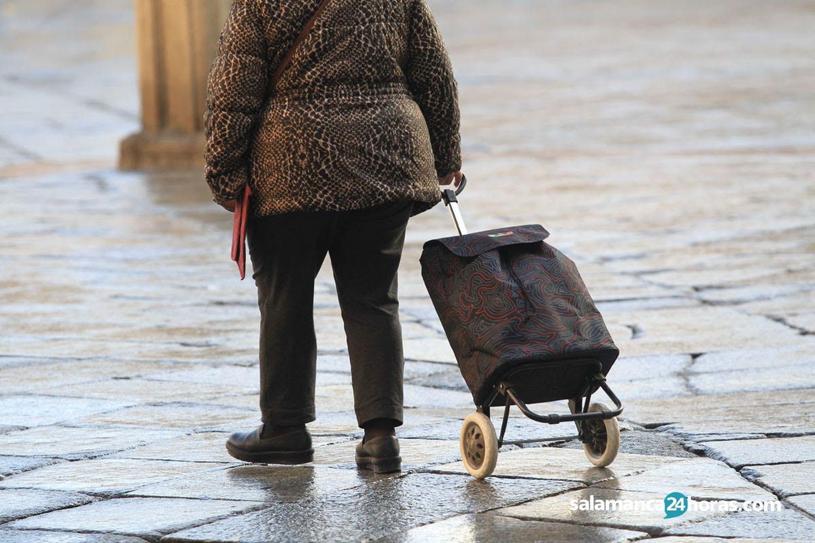 Compras mercado jubilados mayores   copia