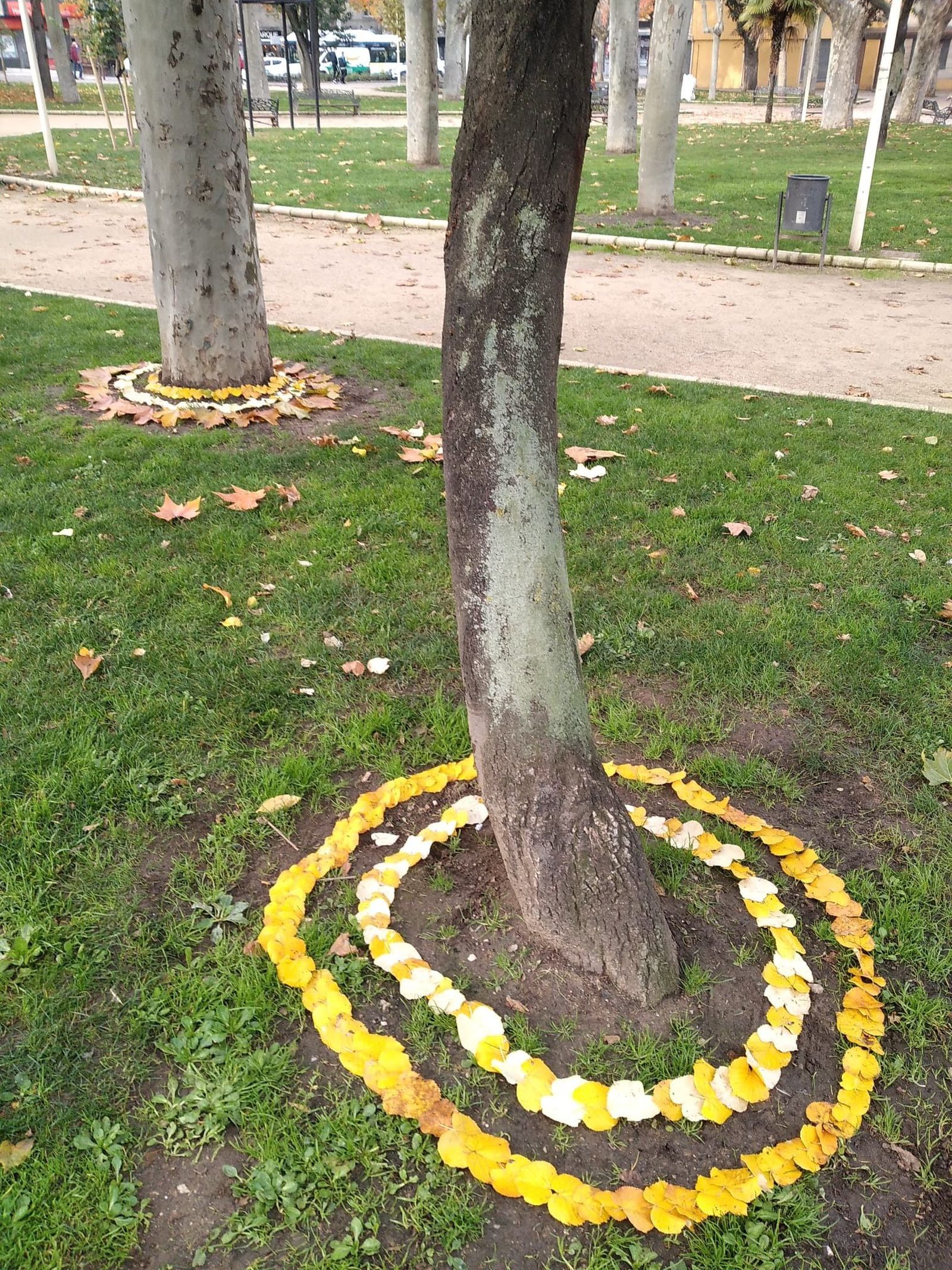 WhatsApp Image 2020 11 16 at 10.46.37