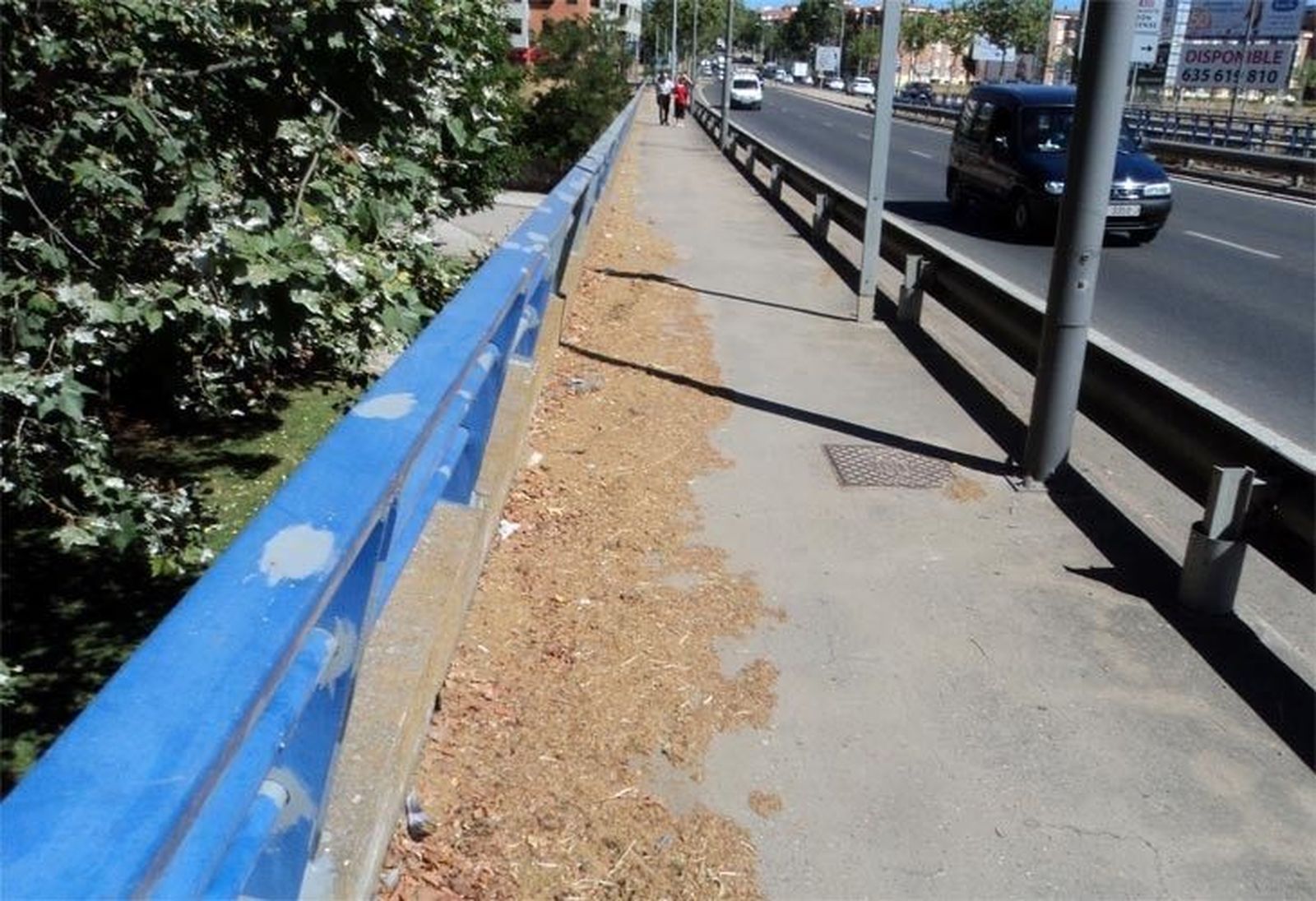 UPL pide que se realice una limpieza del puente de Cardenal Cisneros