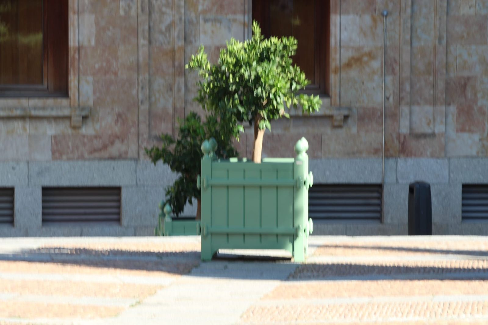 whatsapp-image-2024-08-27-at-17-49-08-4