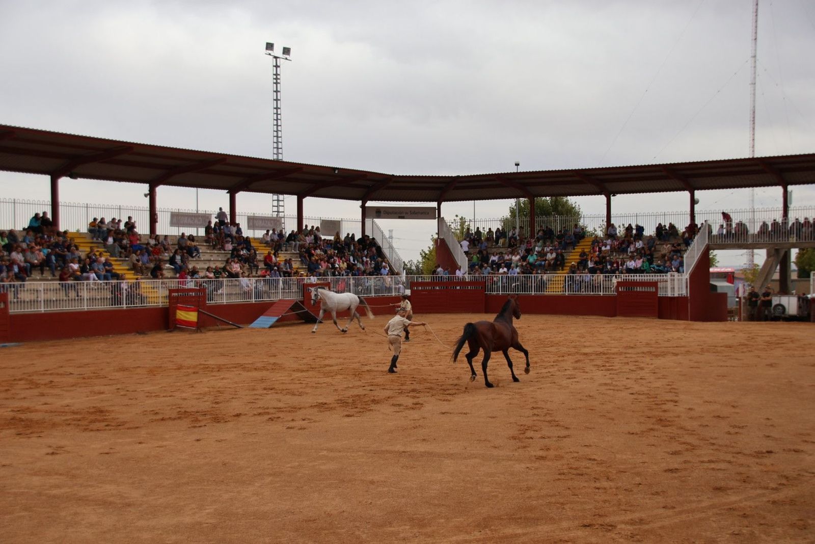 20230902111720-img-7067