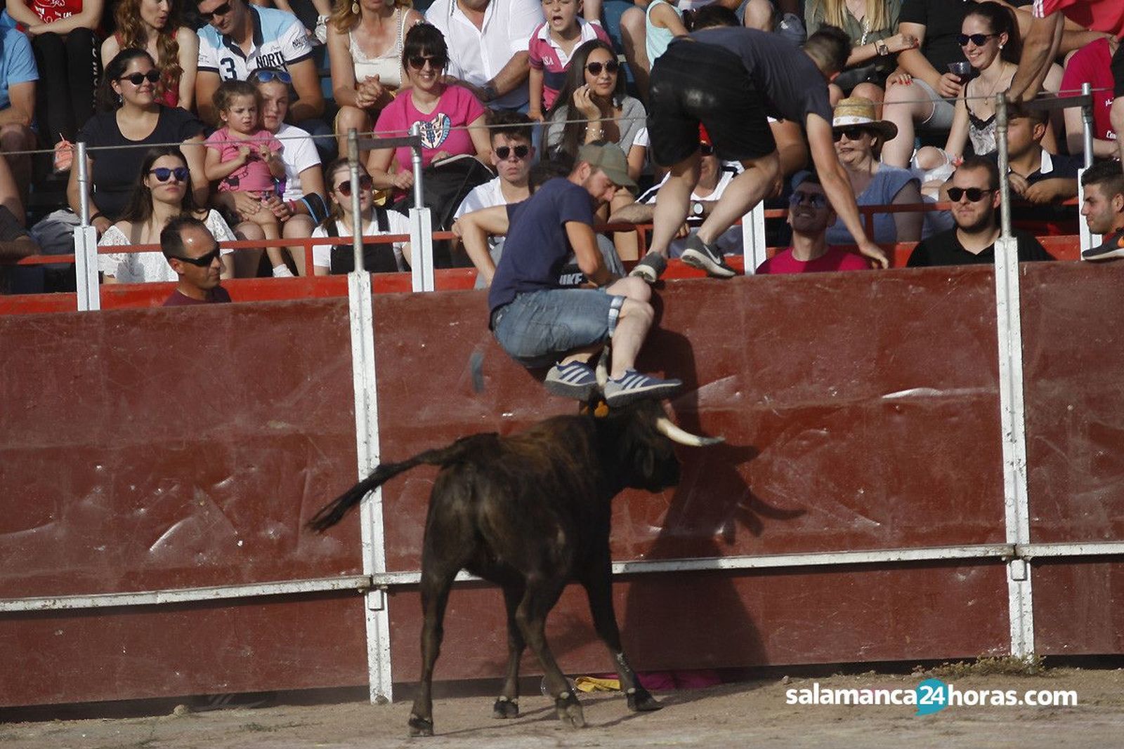 Vaquillas Villares (50)